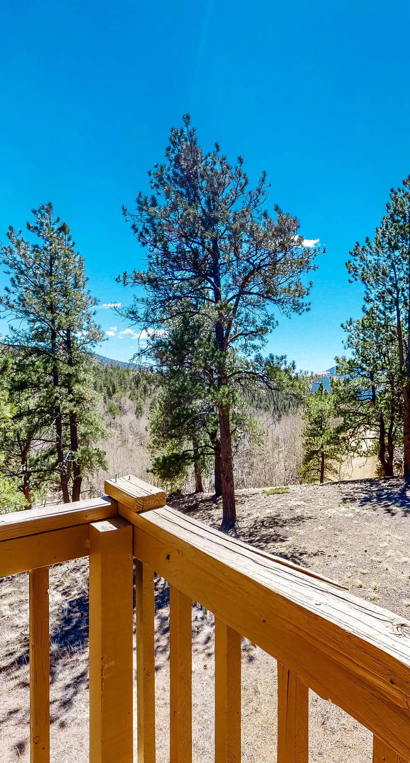 Timberline Vista