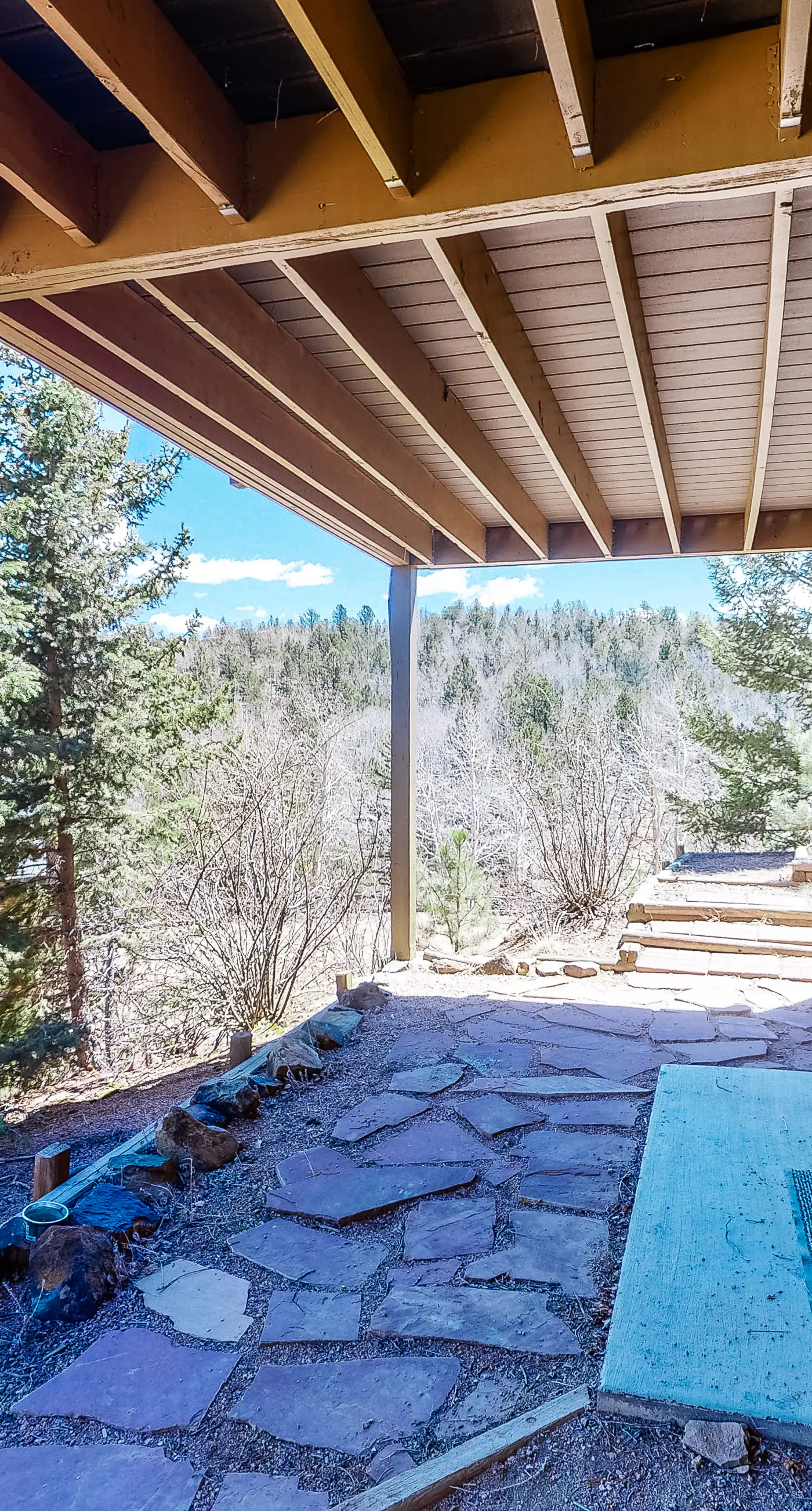 Timberline Vista