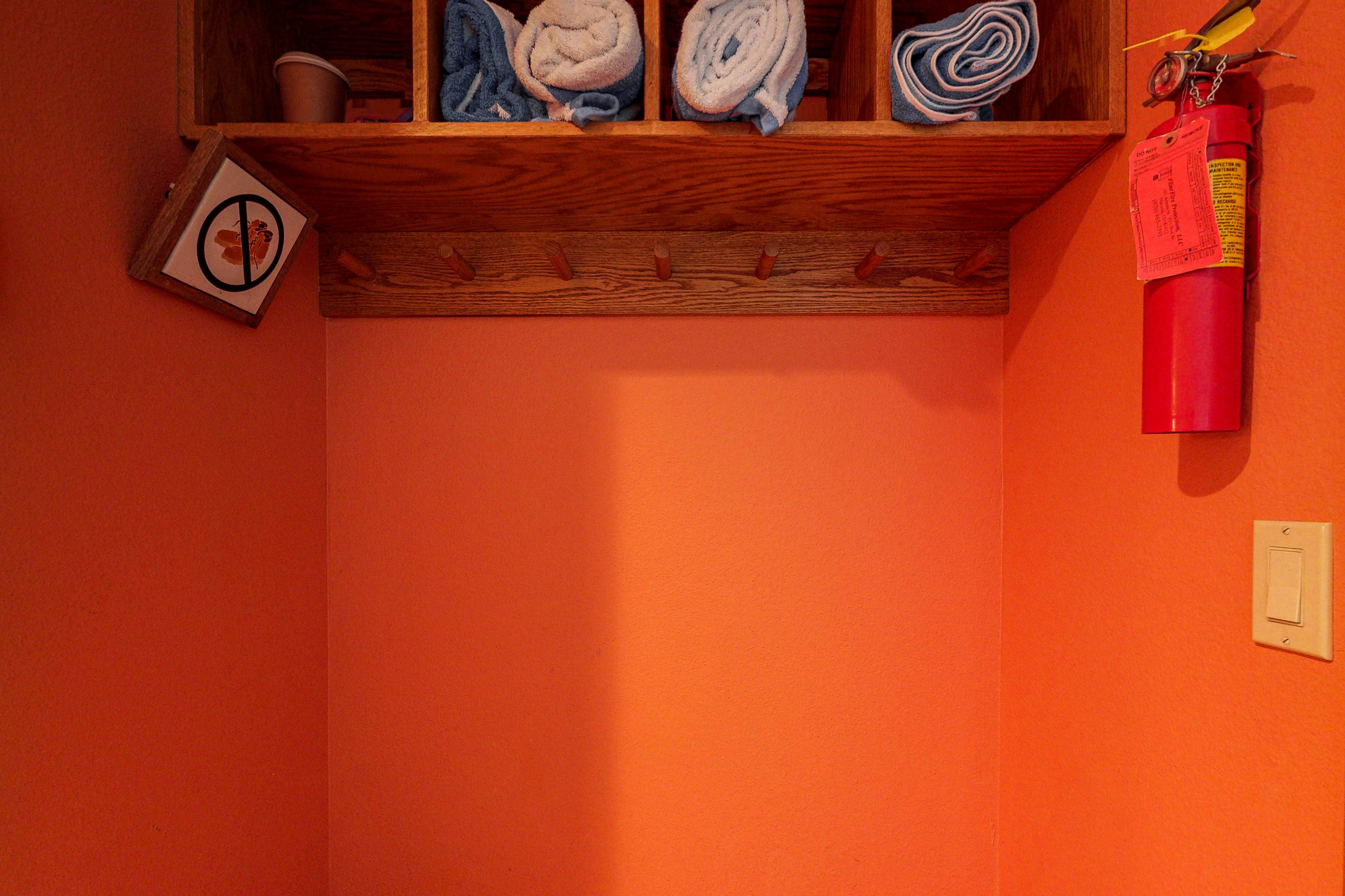 Riverside C101 - Riverside Wren