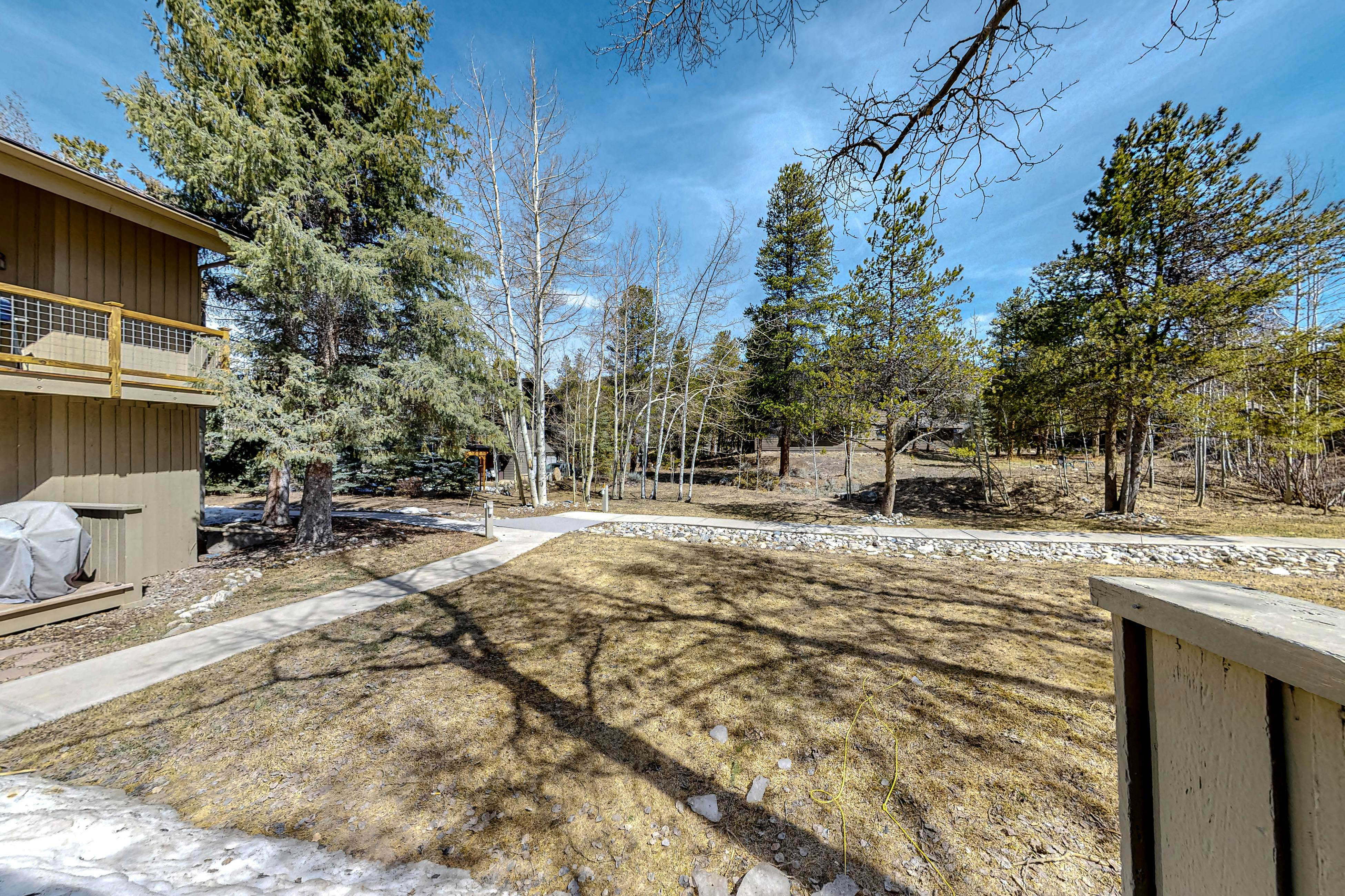 Flying Dutchman 1202