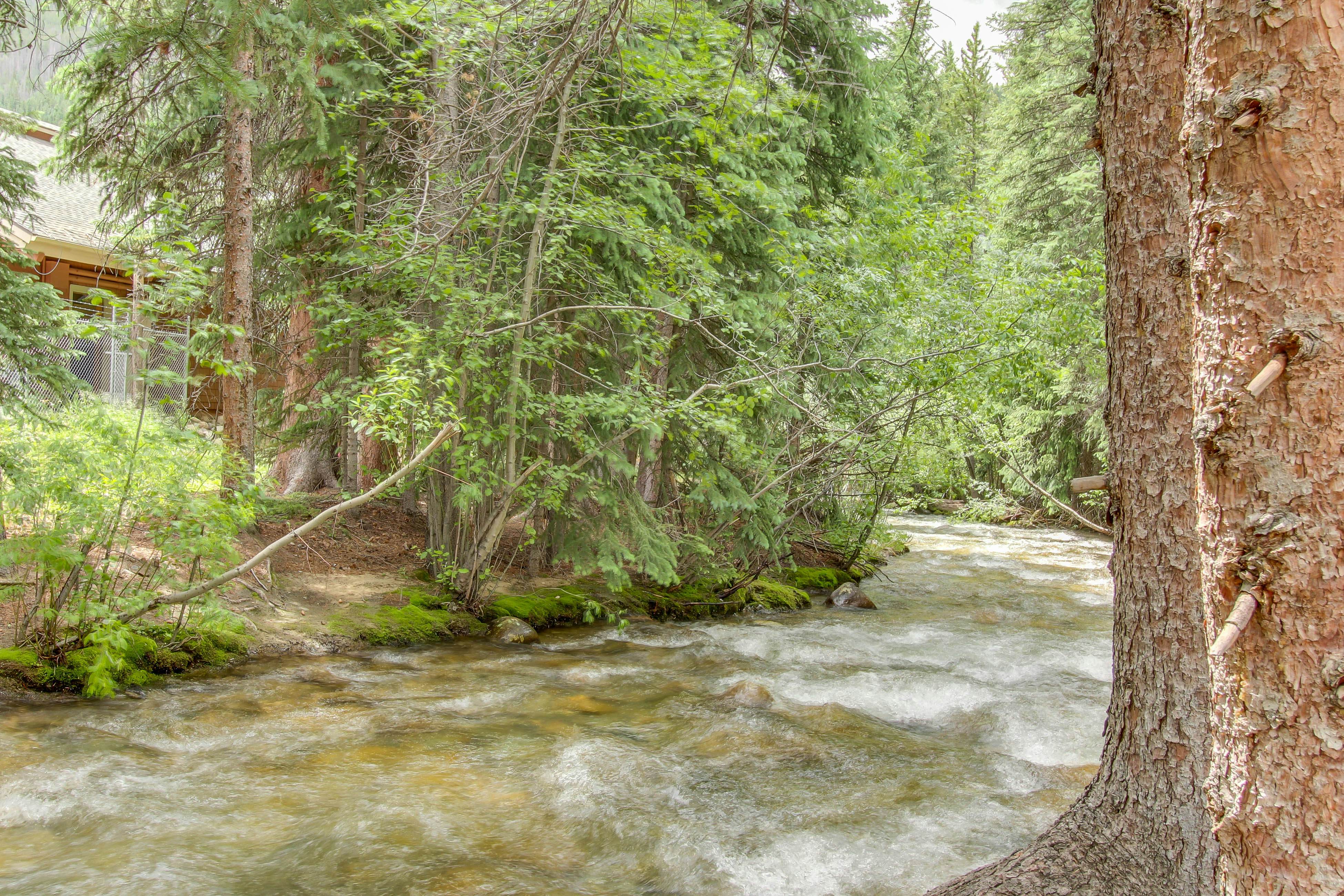 Flying Dutchman 1202