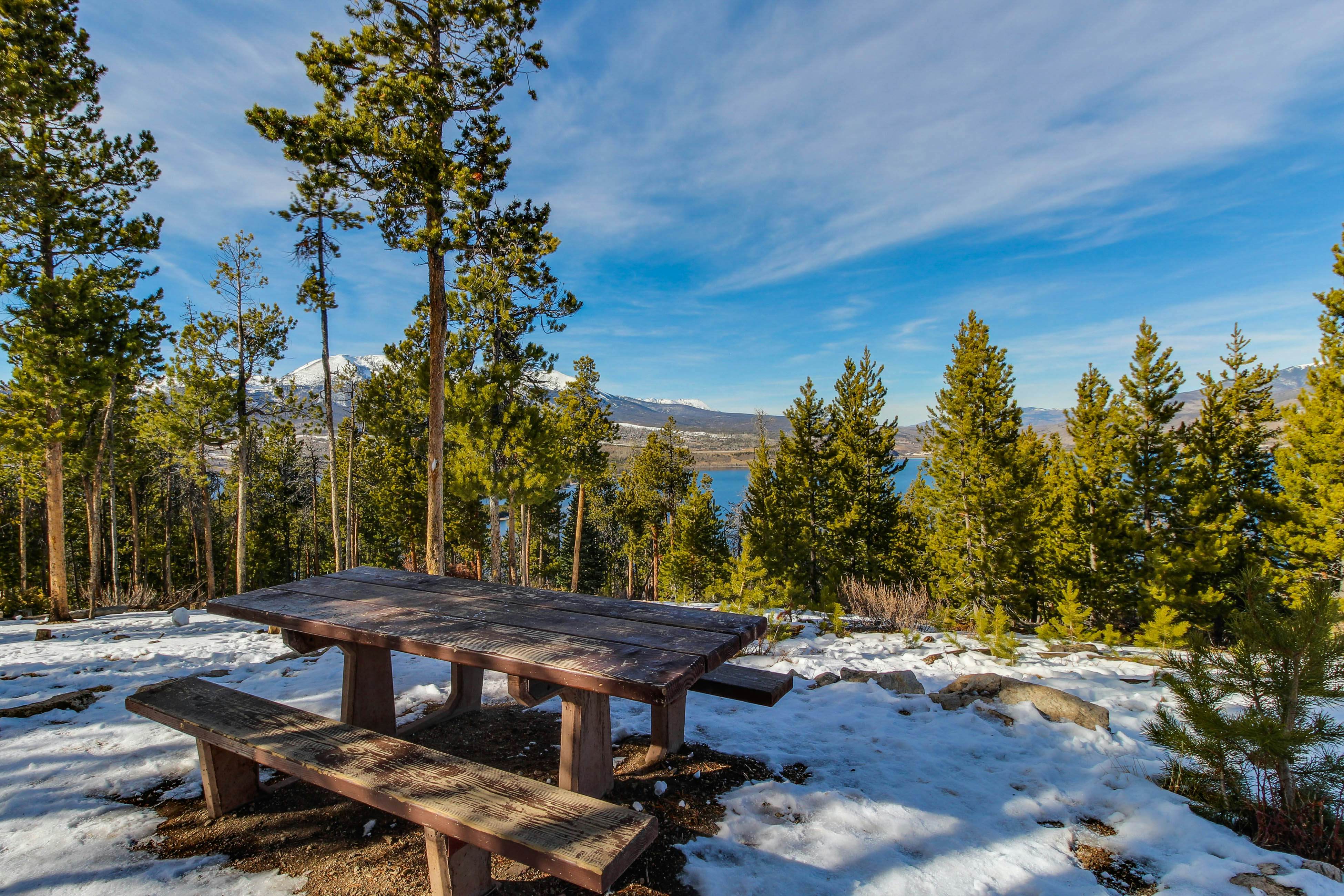 Flying Dutchman 1202