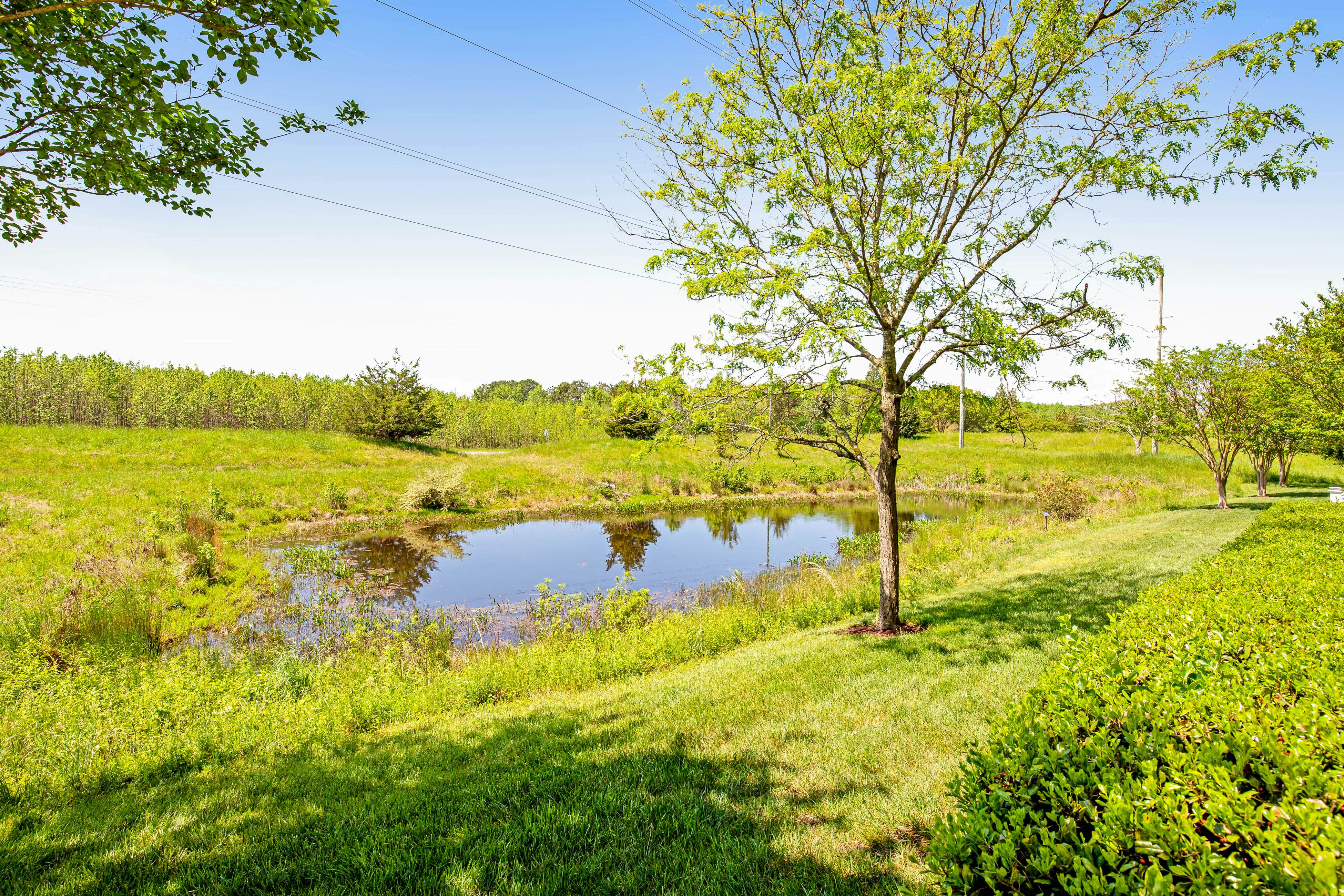 Bear Trap Dunes - 210G October Glory Ave