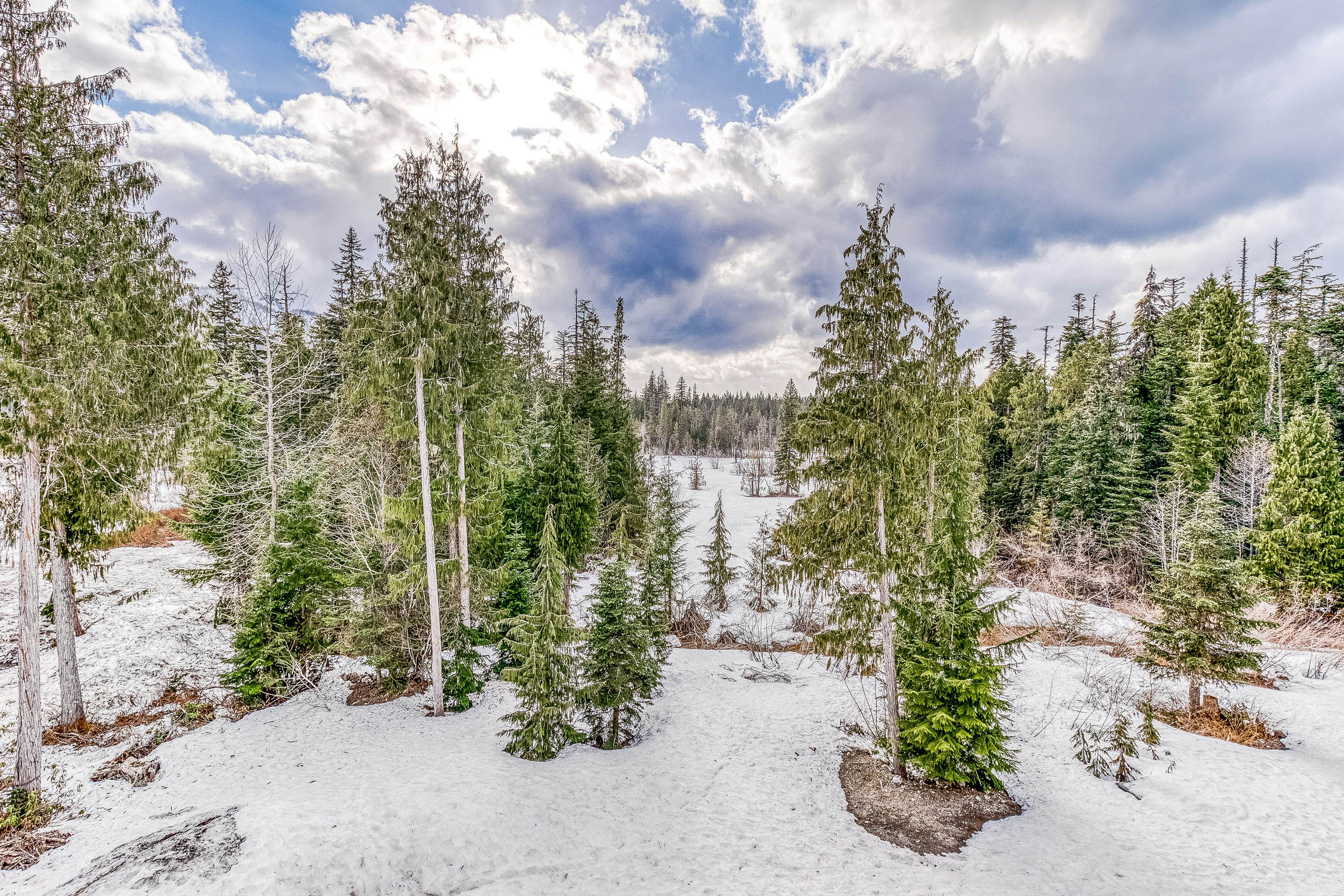 Golden Poles Chalet #110