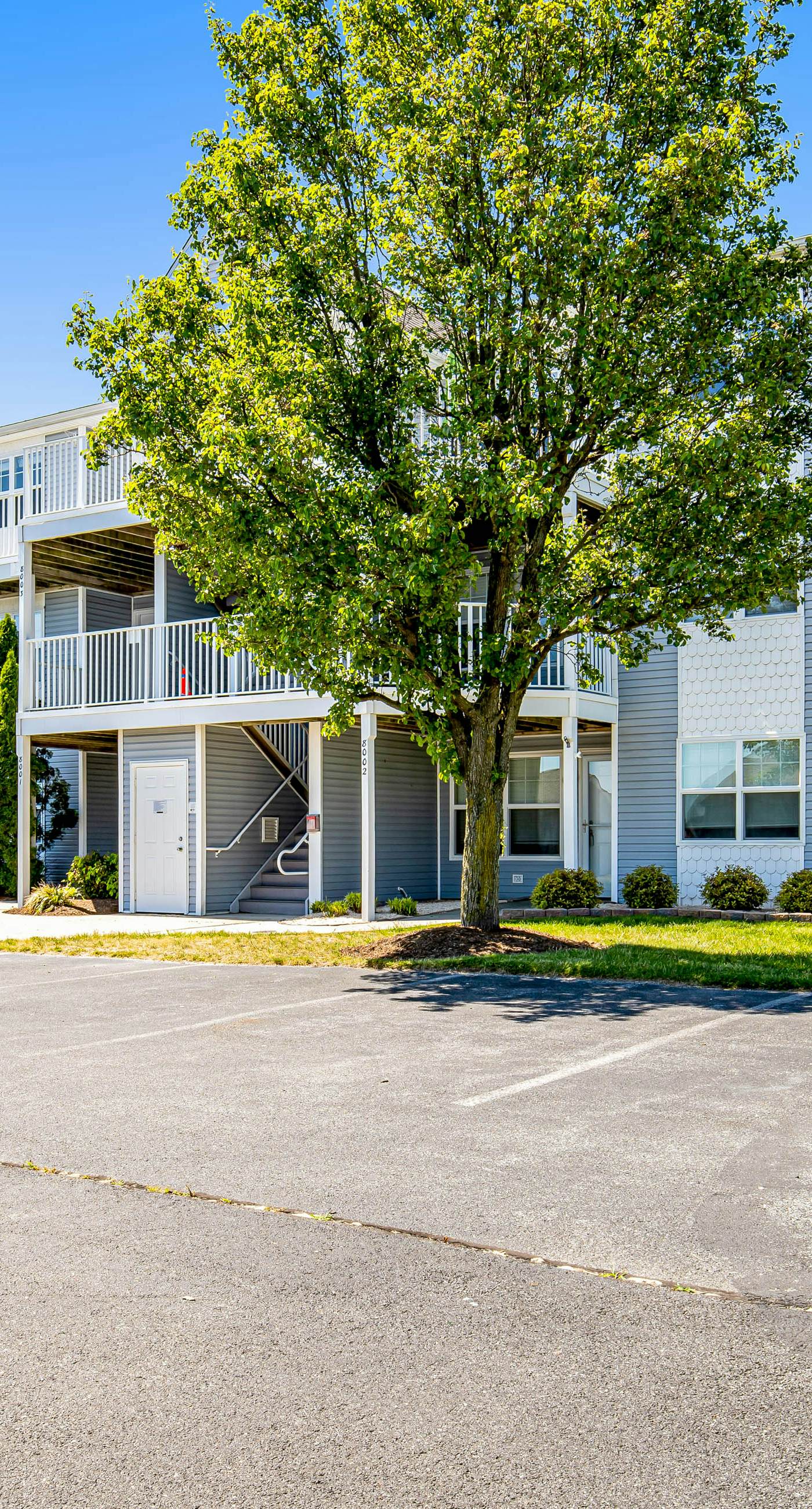 Bethany Bay - 8006 Pettinaro Dr