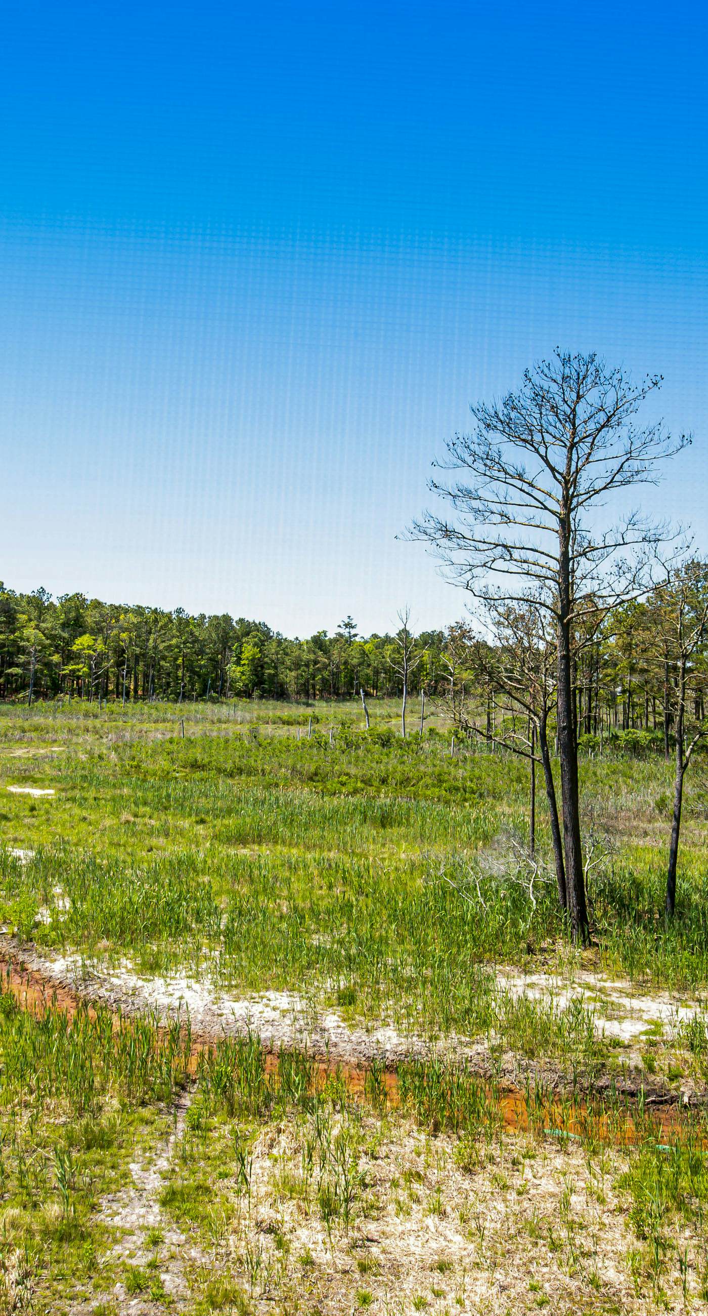 Bethany Bay - 8006 Pettinaro Dr