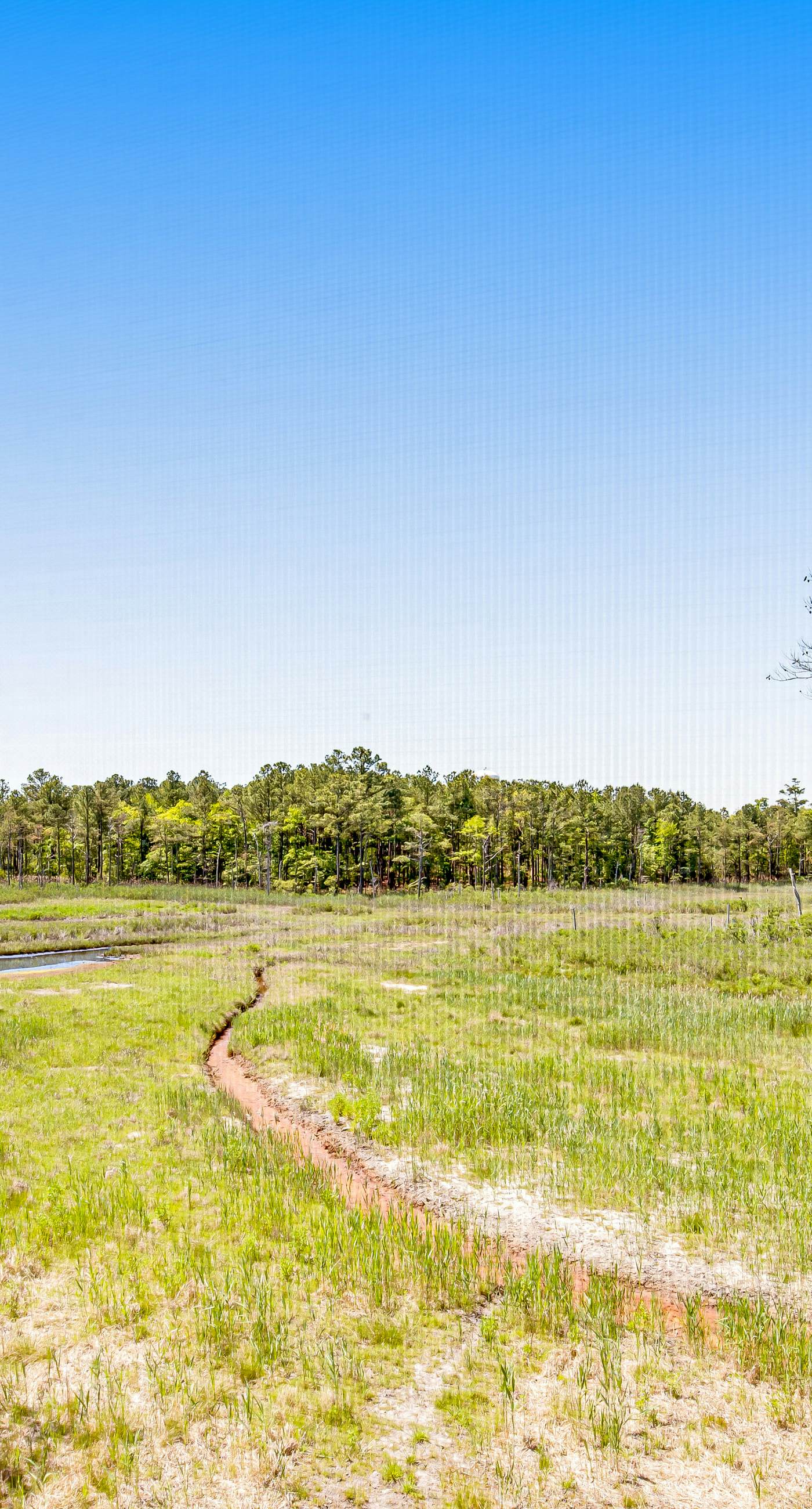 Bethany Bay - 8006 Pettinaro Dr