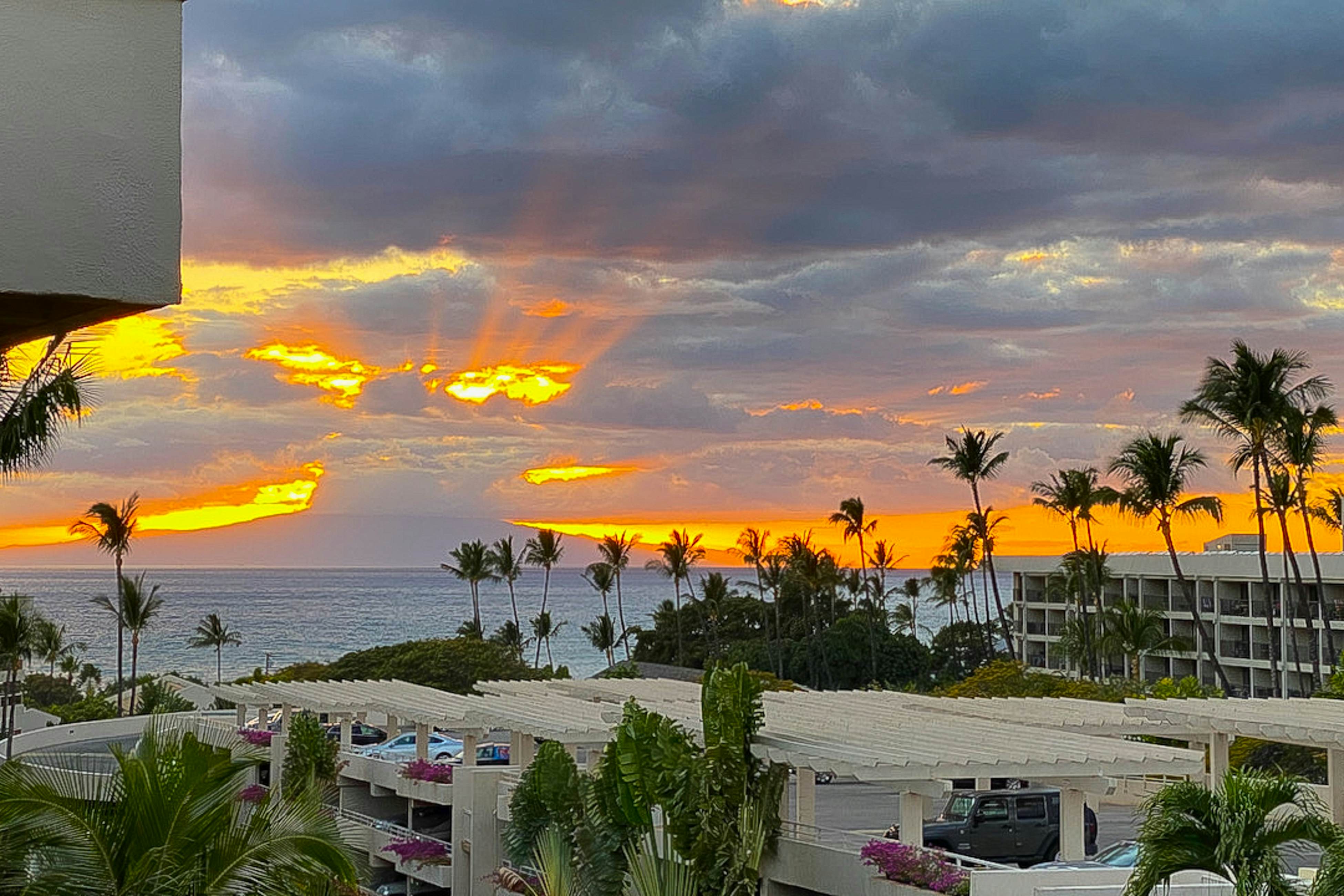 Maui Banyan Q408A & Q408