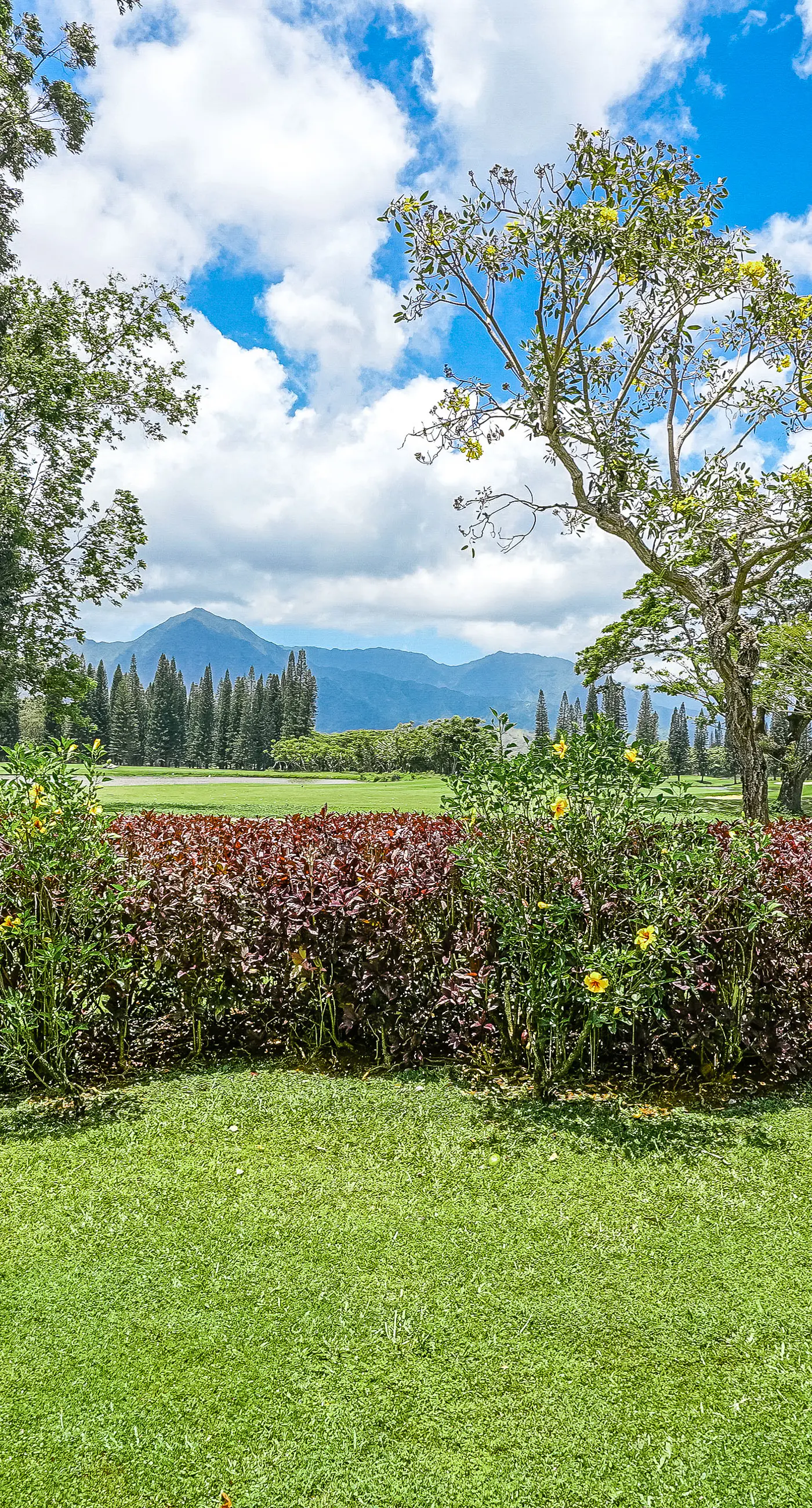 Plantations at Princeville #512