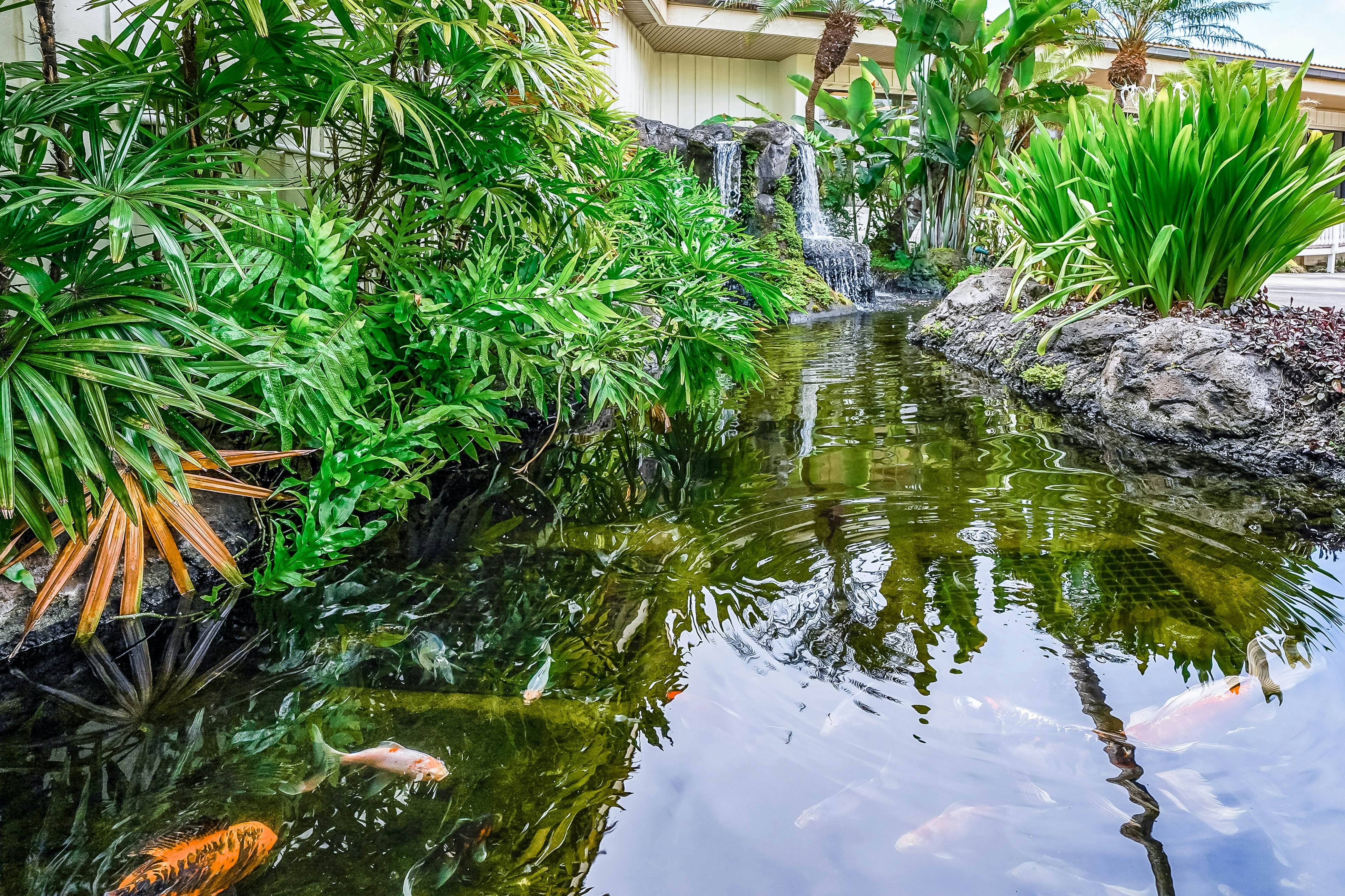 Kauai Beach Villas D10