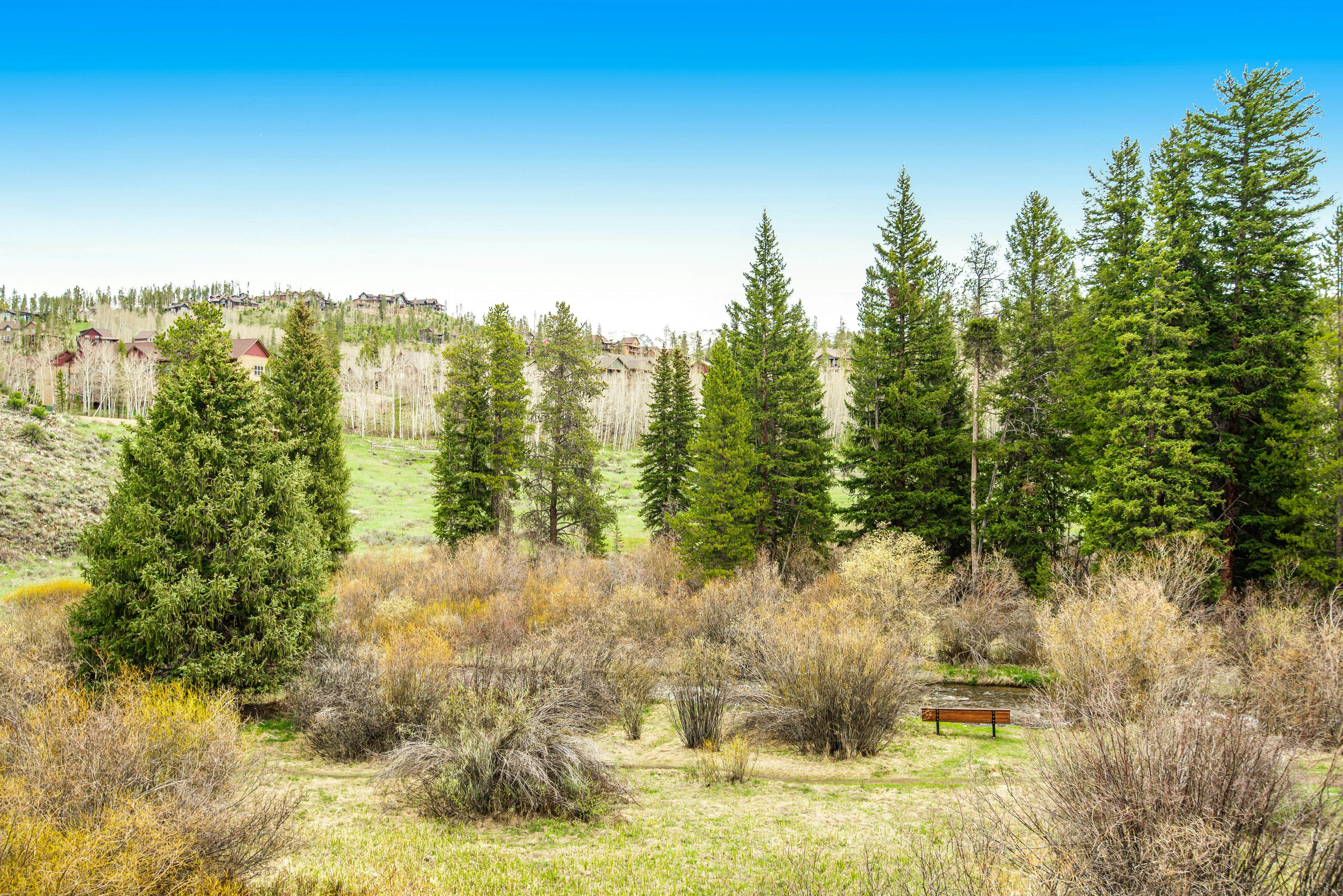 Modern High Country Haus