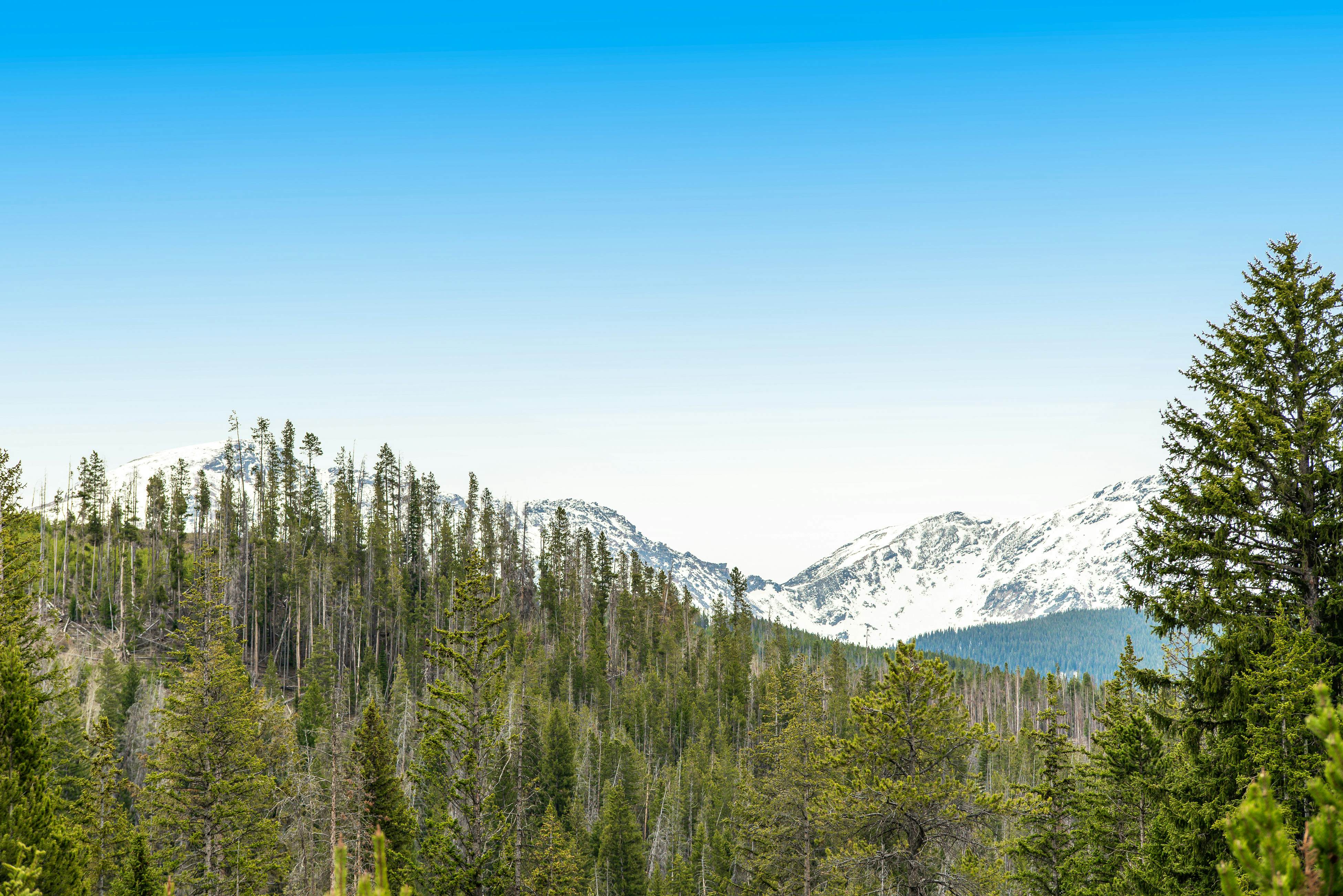 Modern High Country Haus