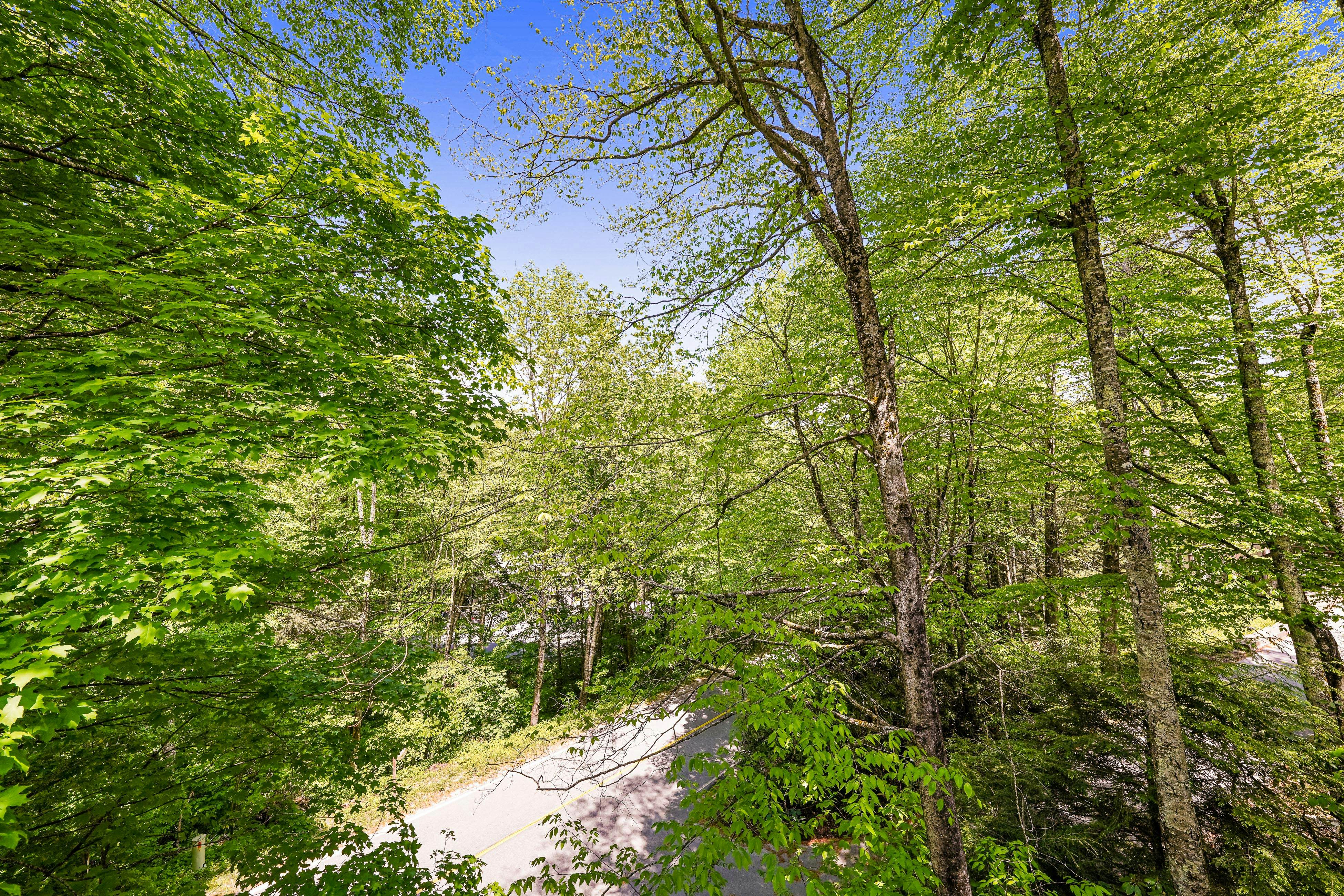 The Hemlock Hideaway