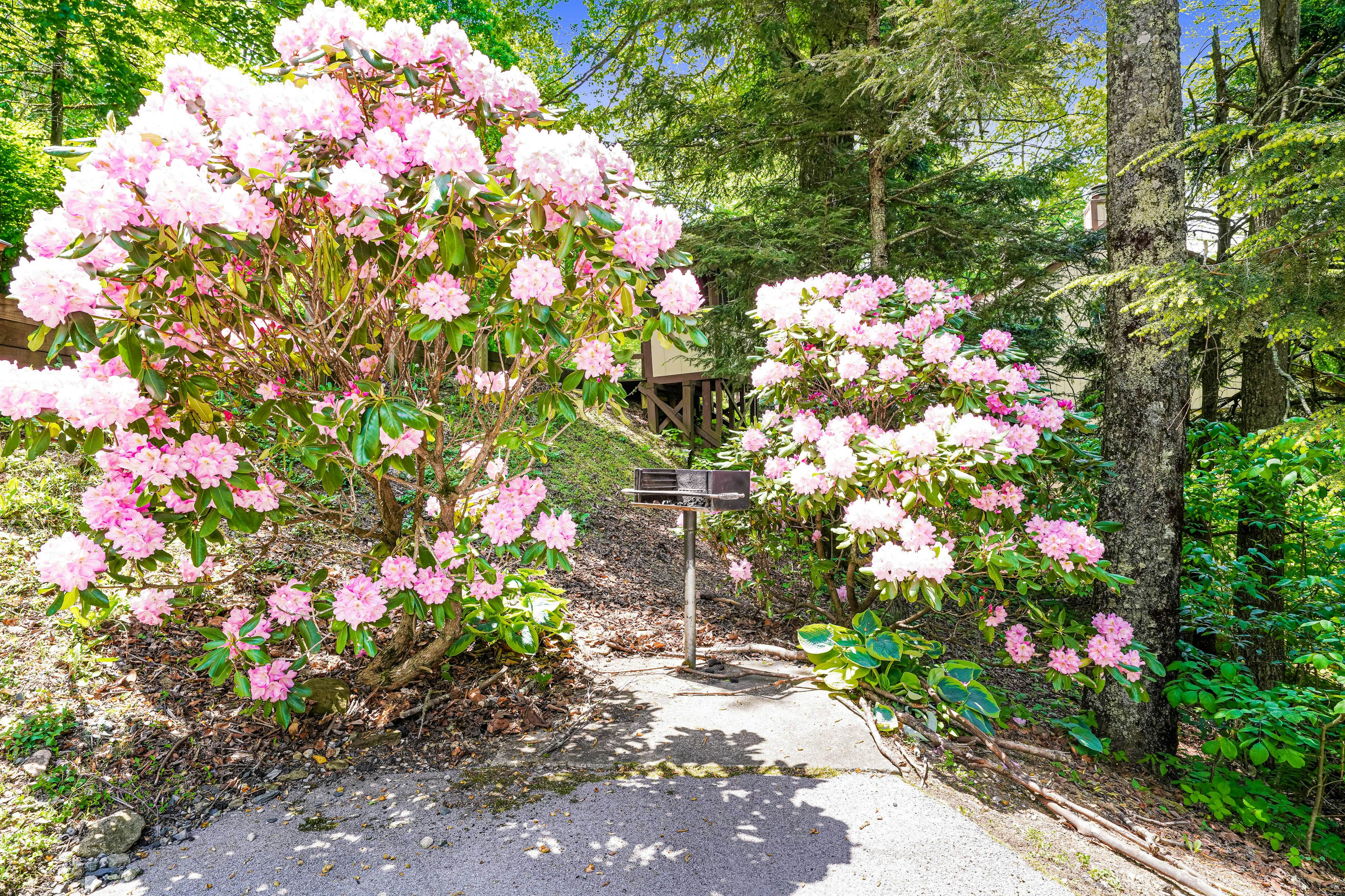 The Hemlock Hideaway