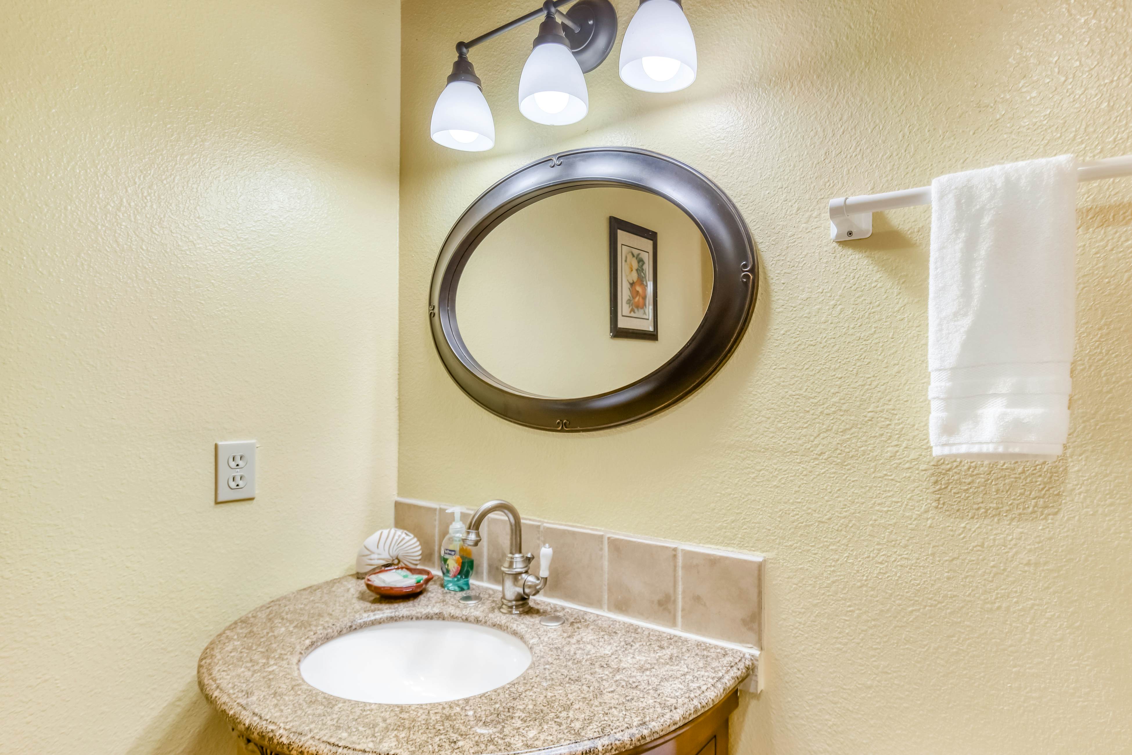 Kahu 'lo - Guardian Hawk