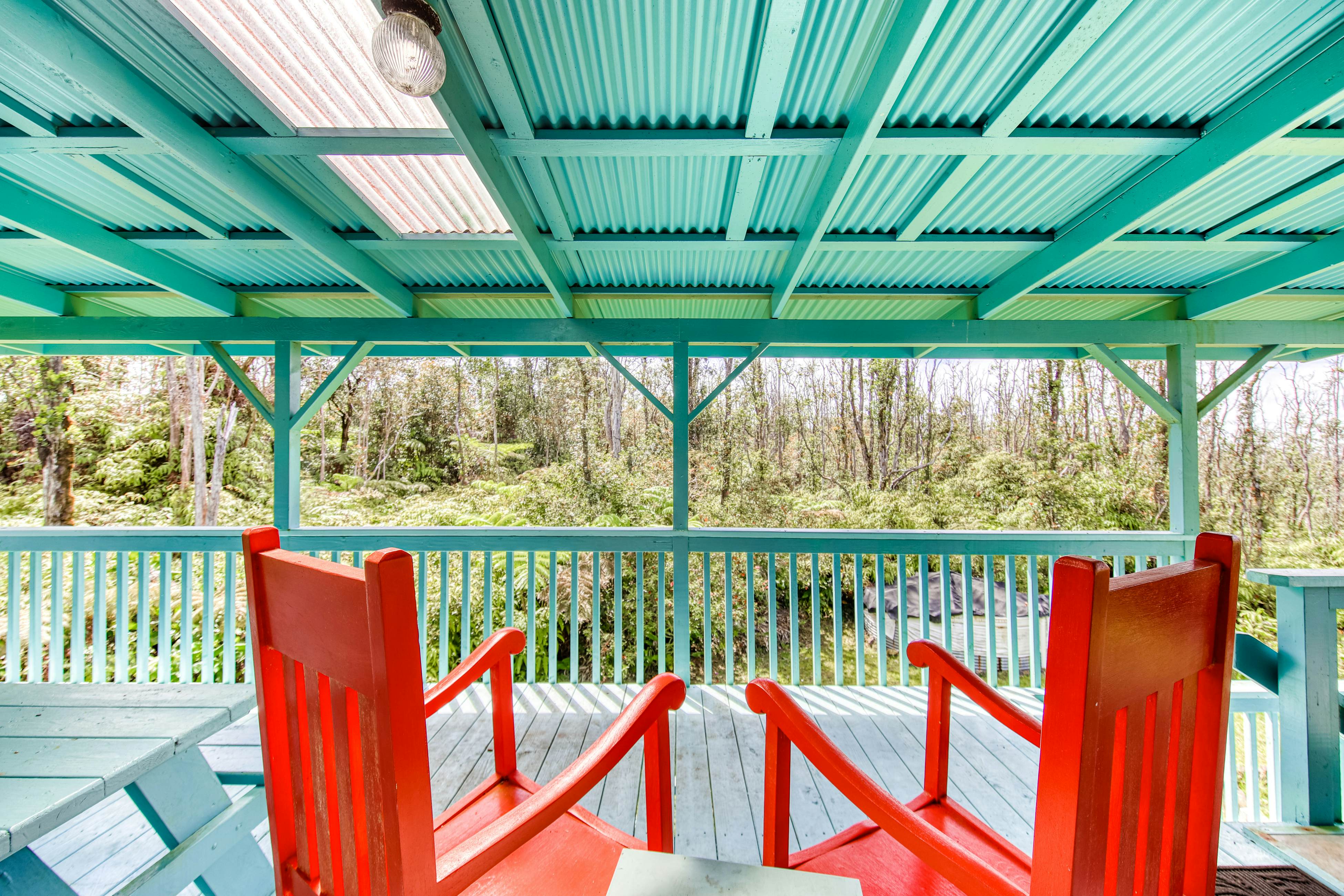 Kahu 'lo - Guardian Hawk