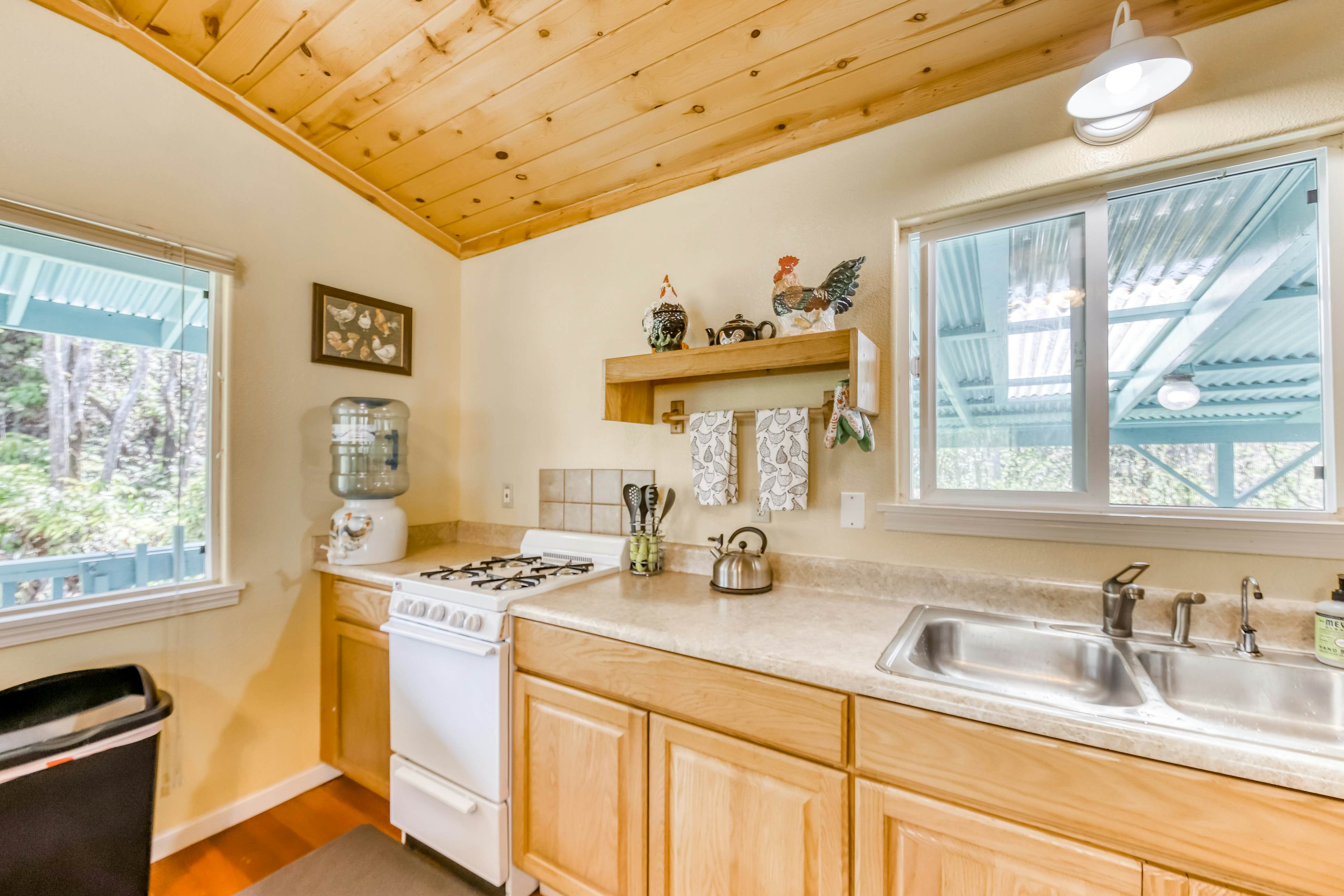 Kahu 'lo - Guardian Hawk