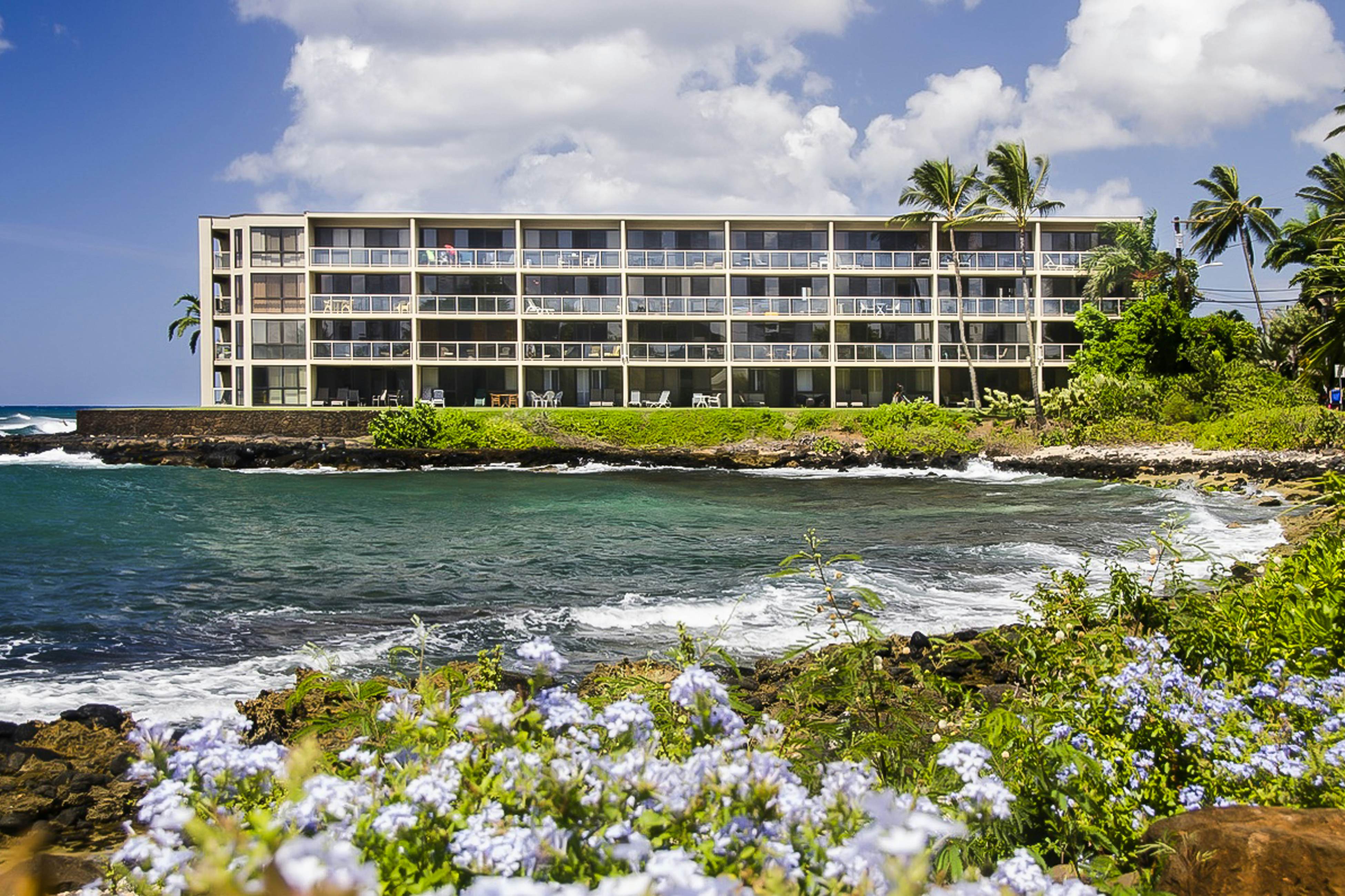 Kuhio Shores 207