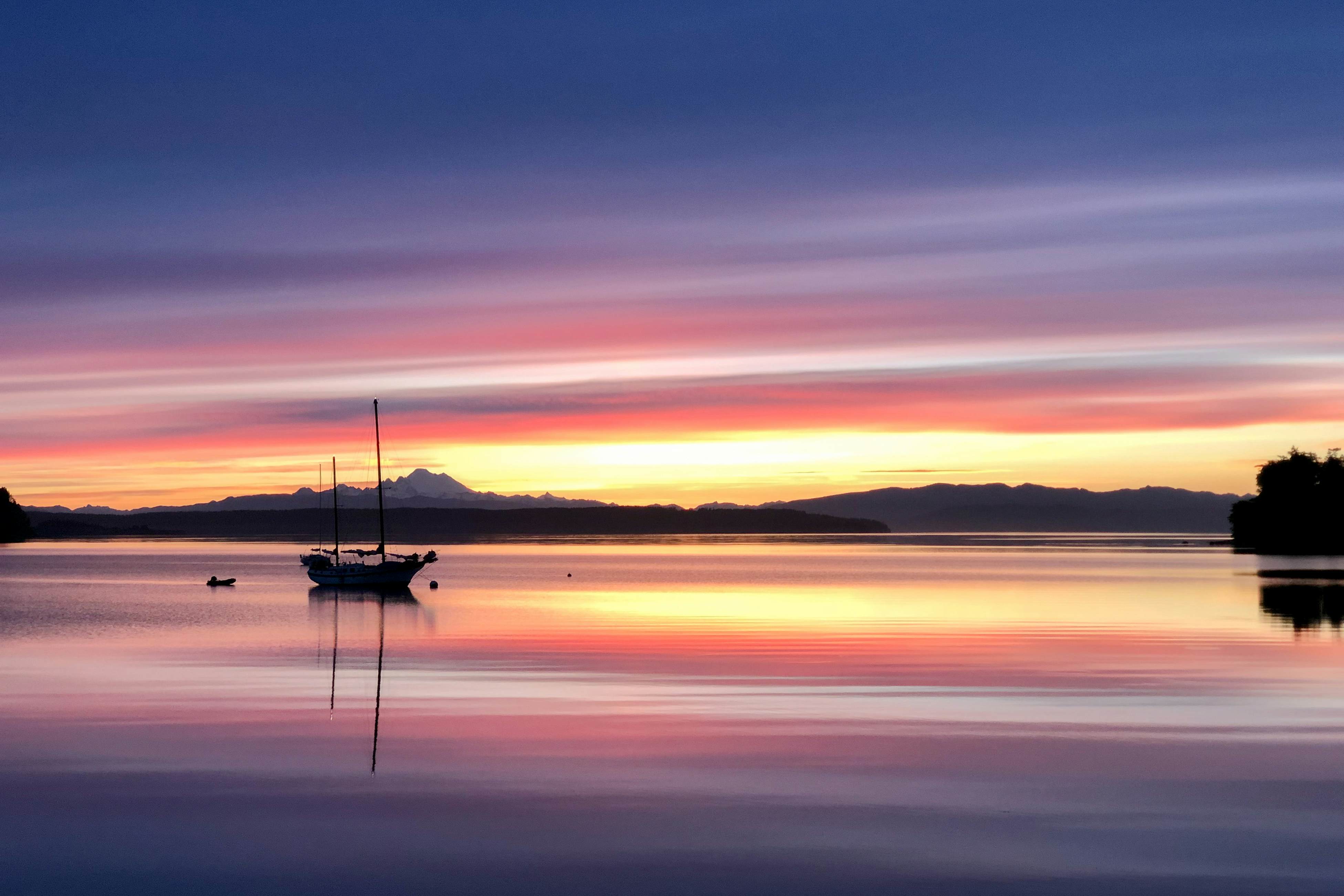 Heron House on the Cove