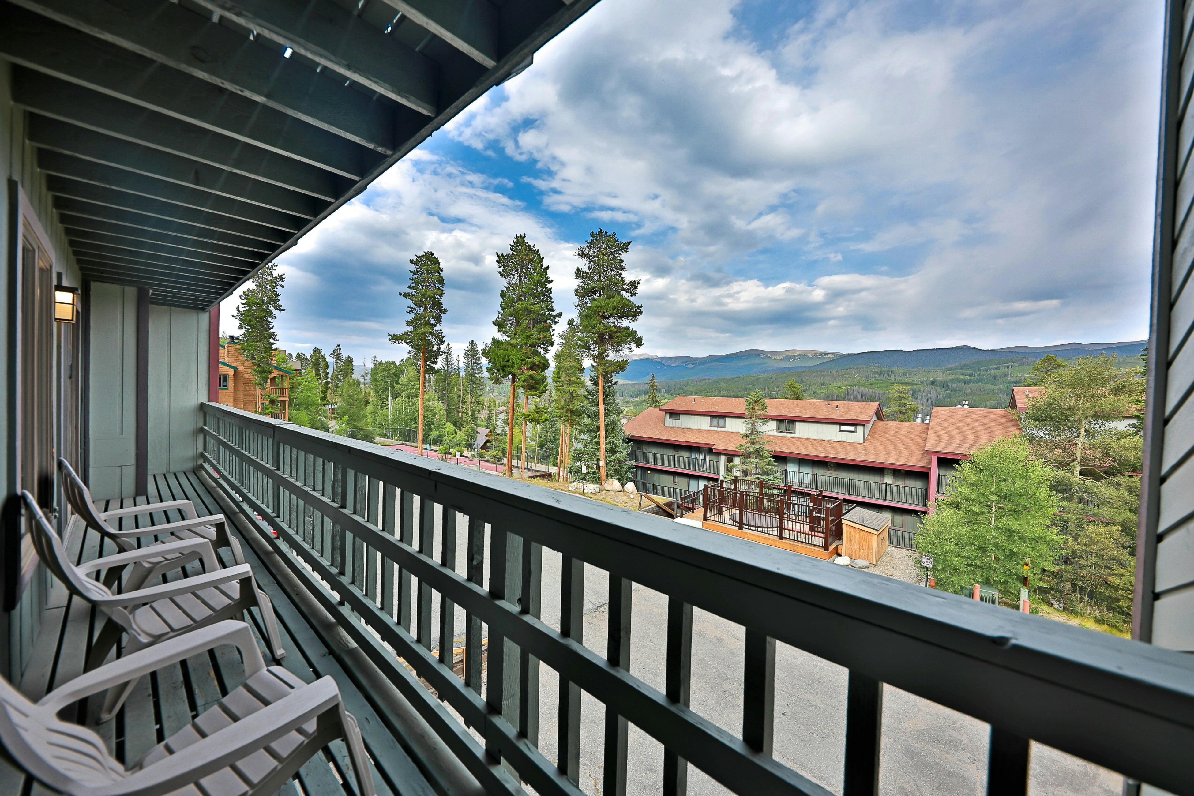 Timber Run Evergreen 9