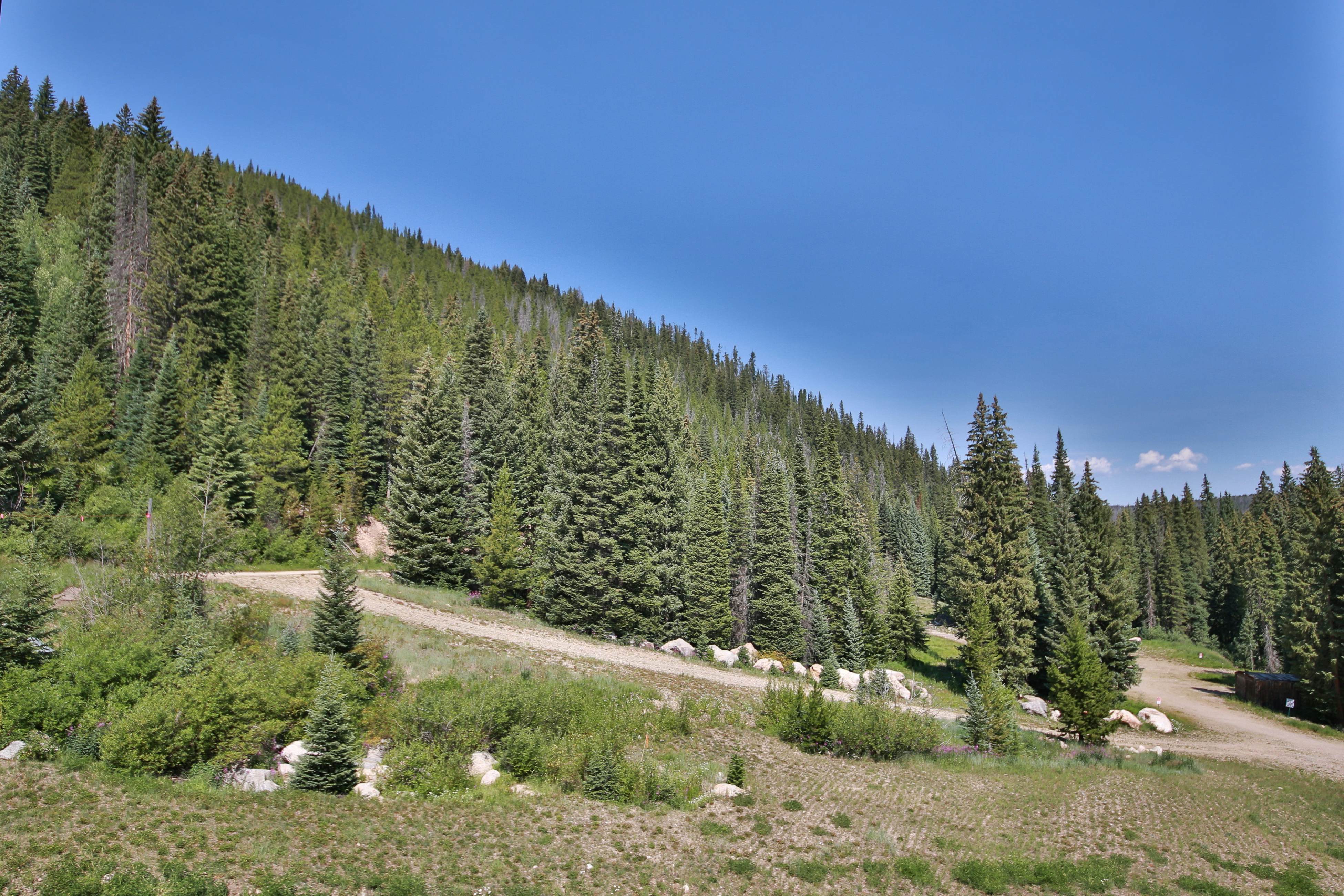 Iron Horse Resort 5064