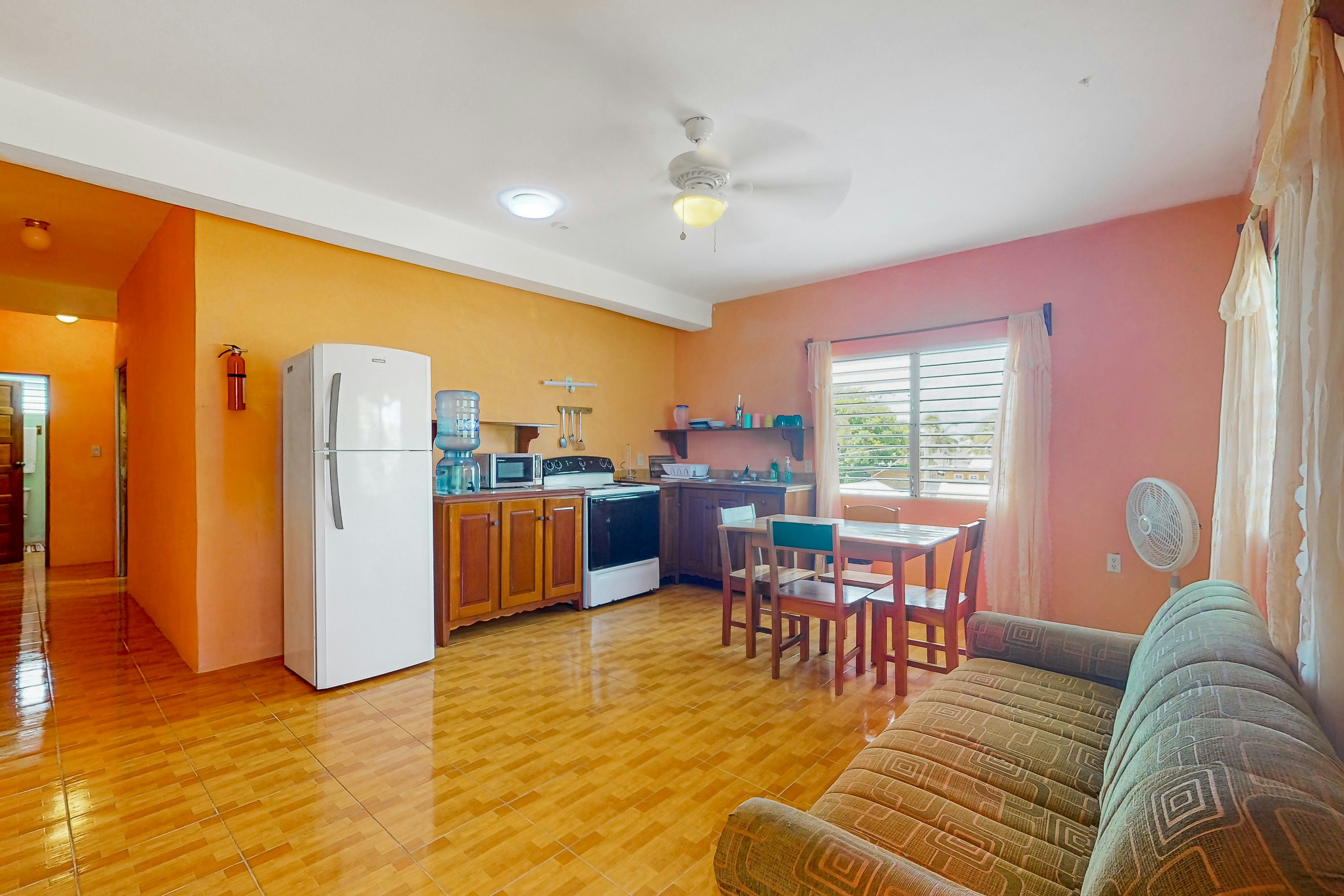 Spix's Macaw at De Real Macaw