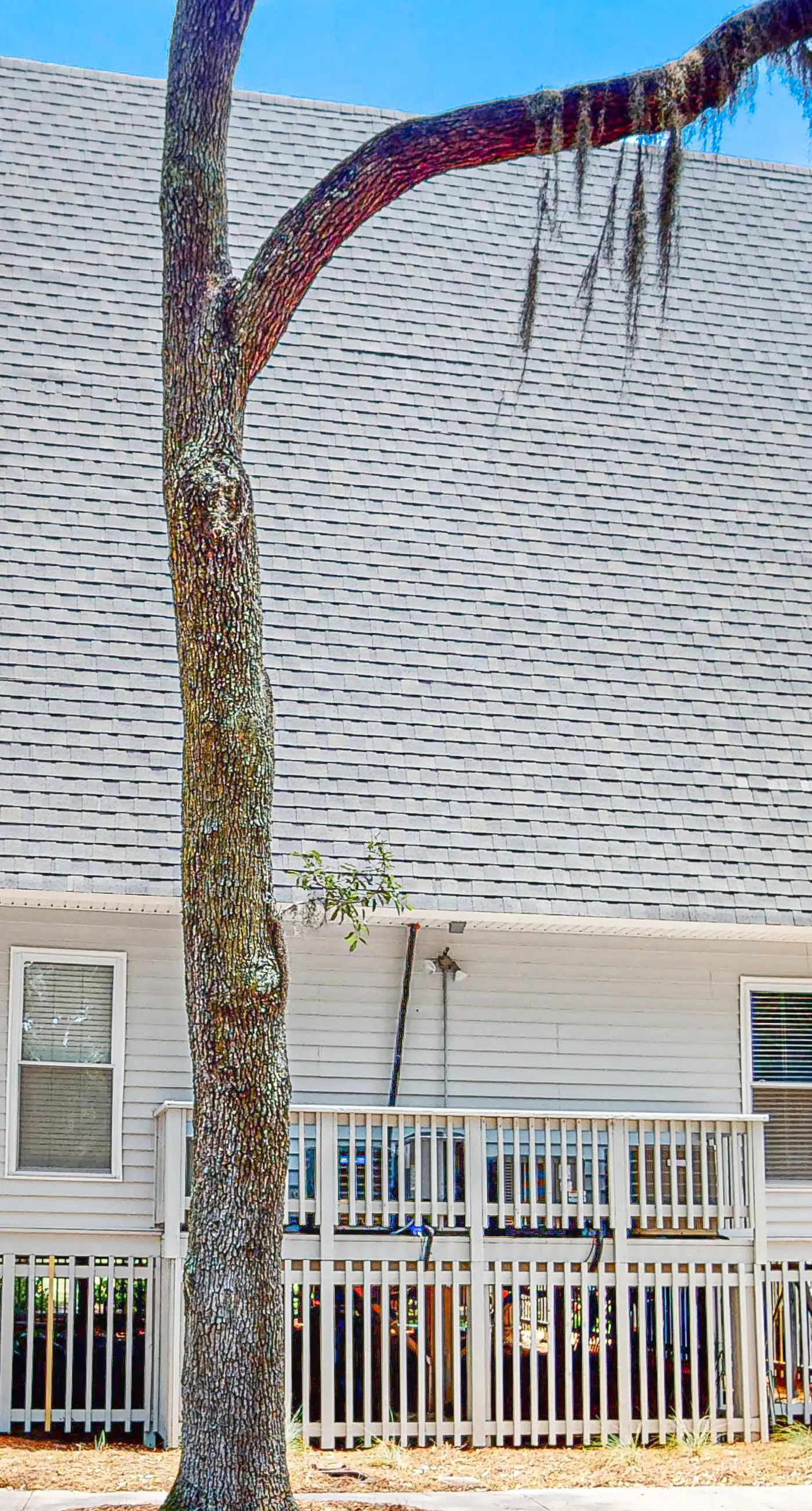 Driftwood Villa  262