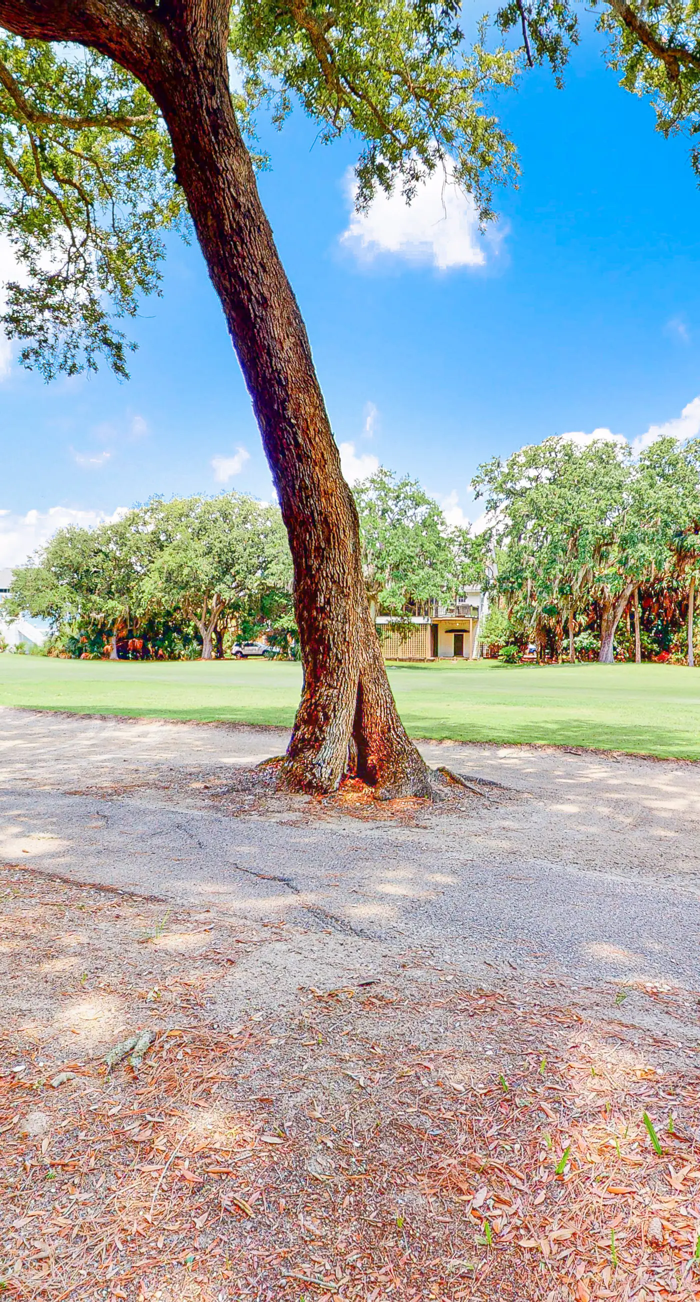 Driftwood Villa  262