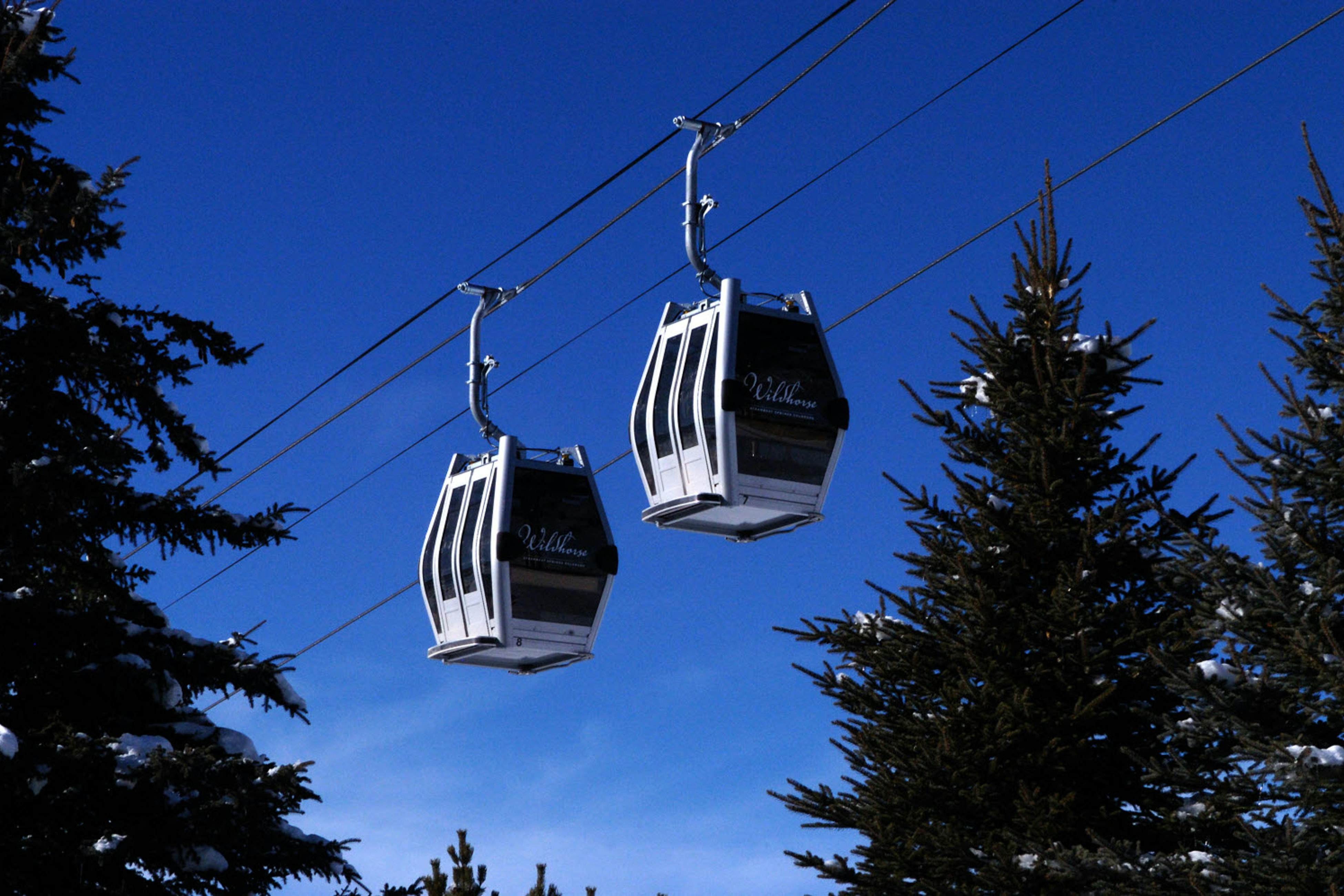 Trailhead Lodge 3106