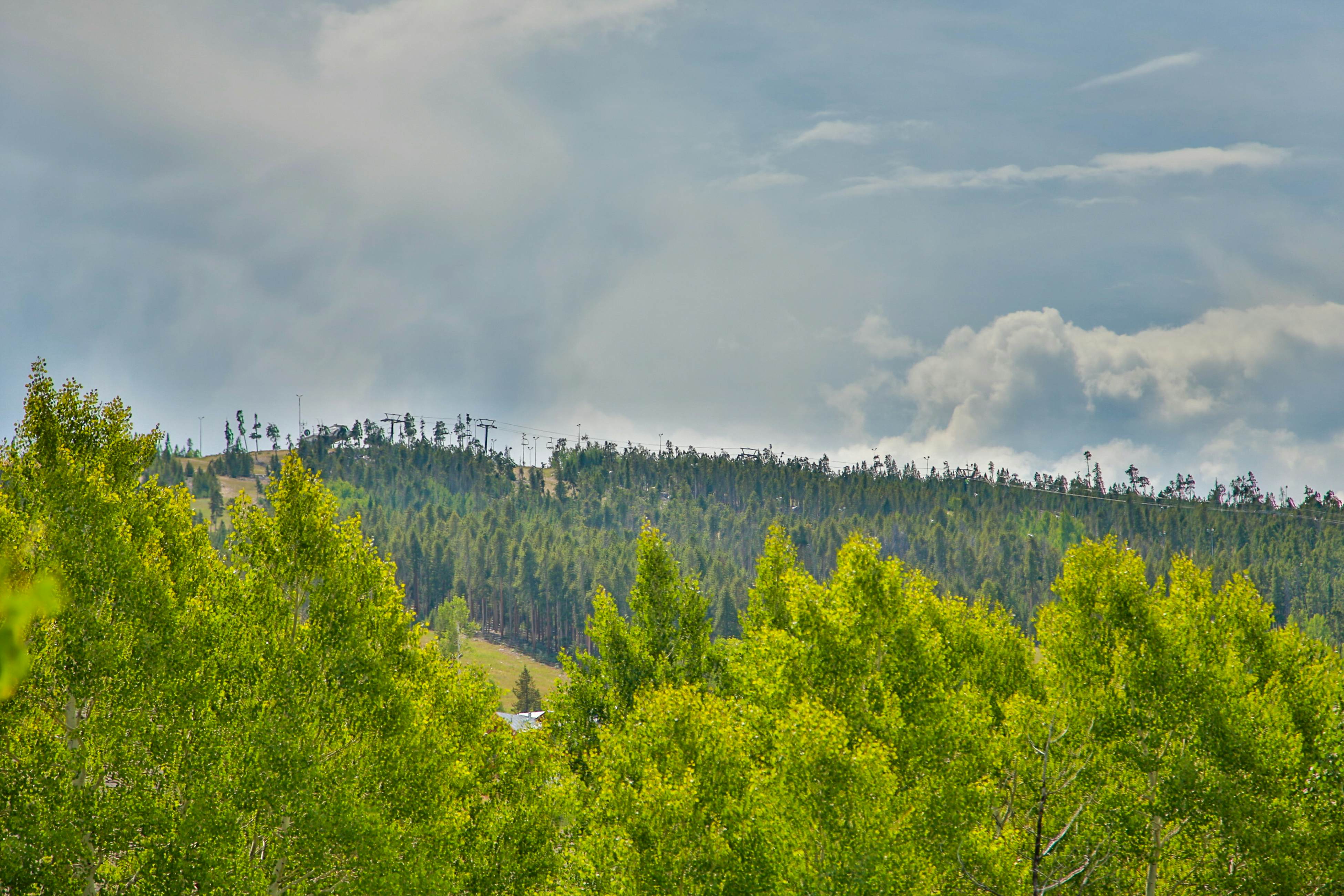 Kicking Horse Lodges 3-202