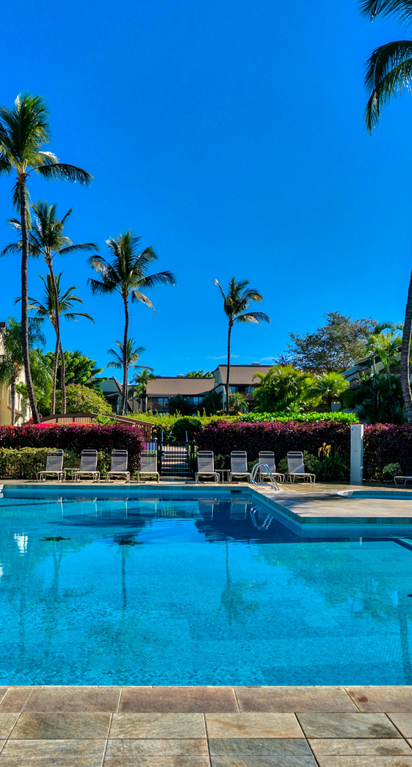 Maui Kamaole B106