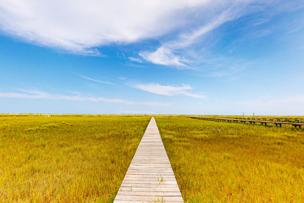 Pink Bird Cottage — Edisto Island, SC — vacation rental