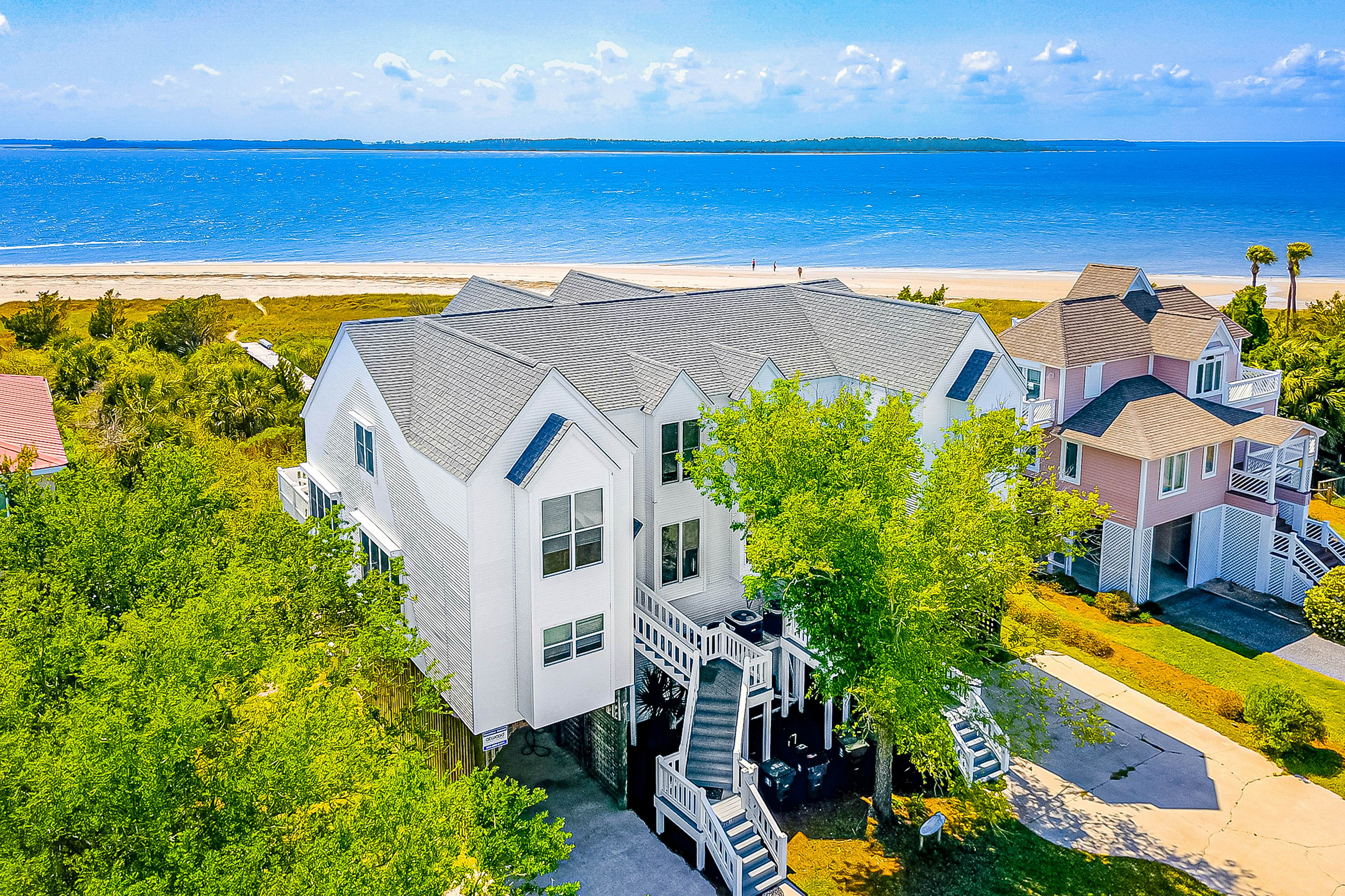 Dolphin Watch - A Side