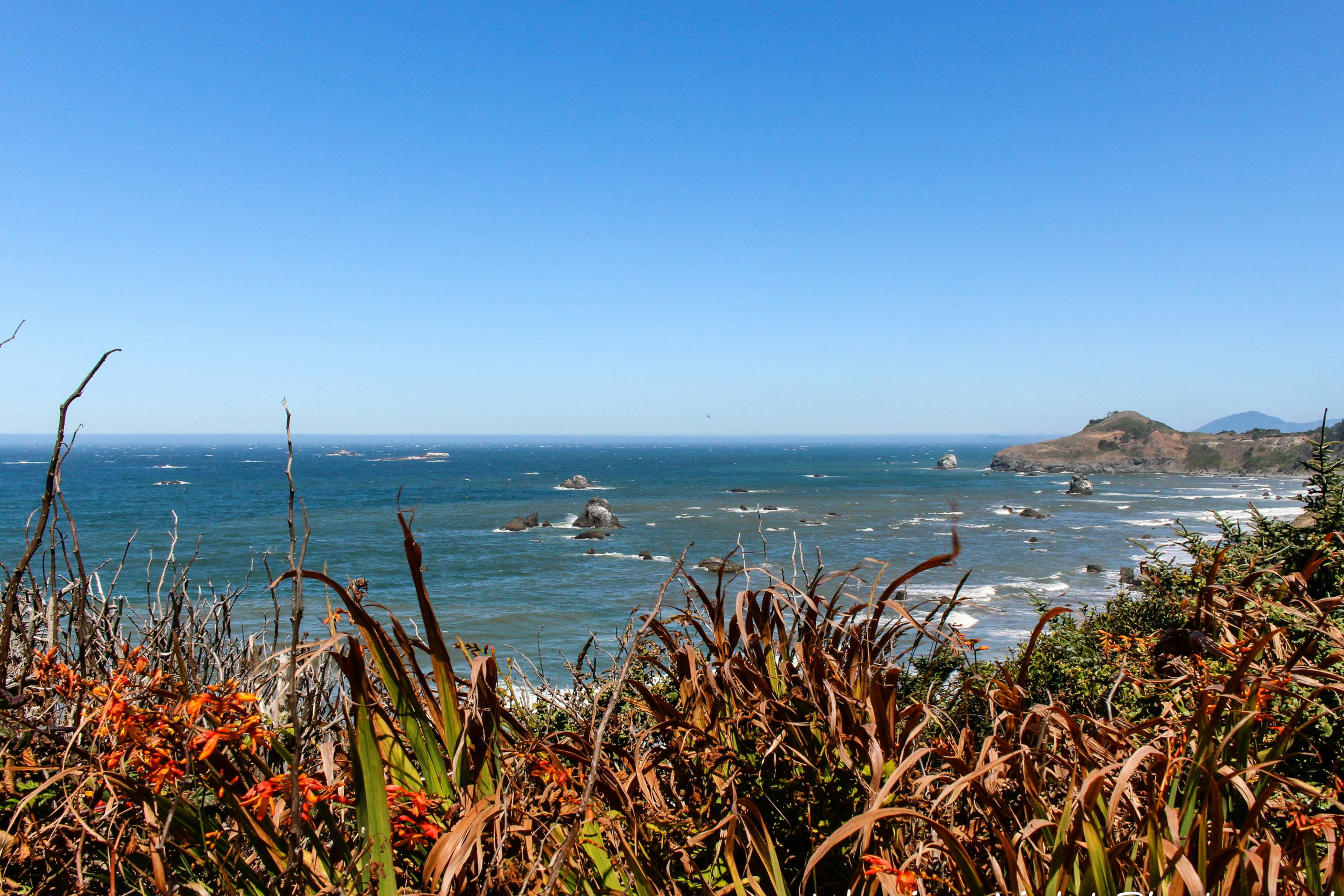 Riley Creek Bungalow