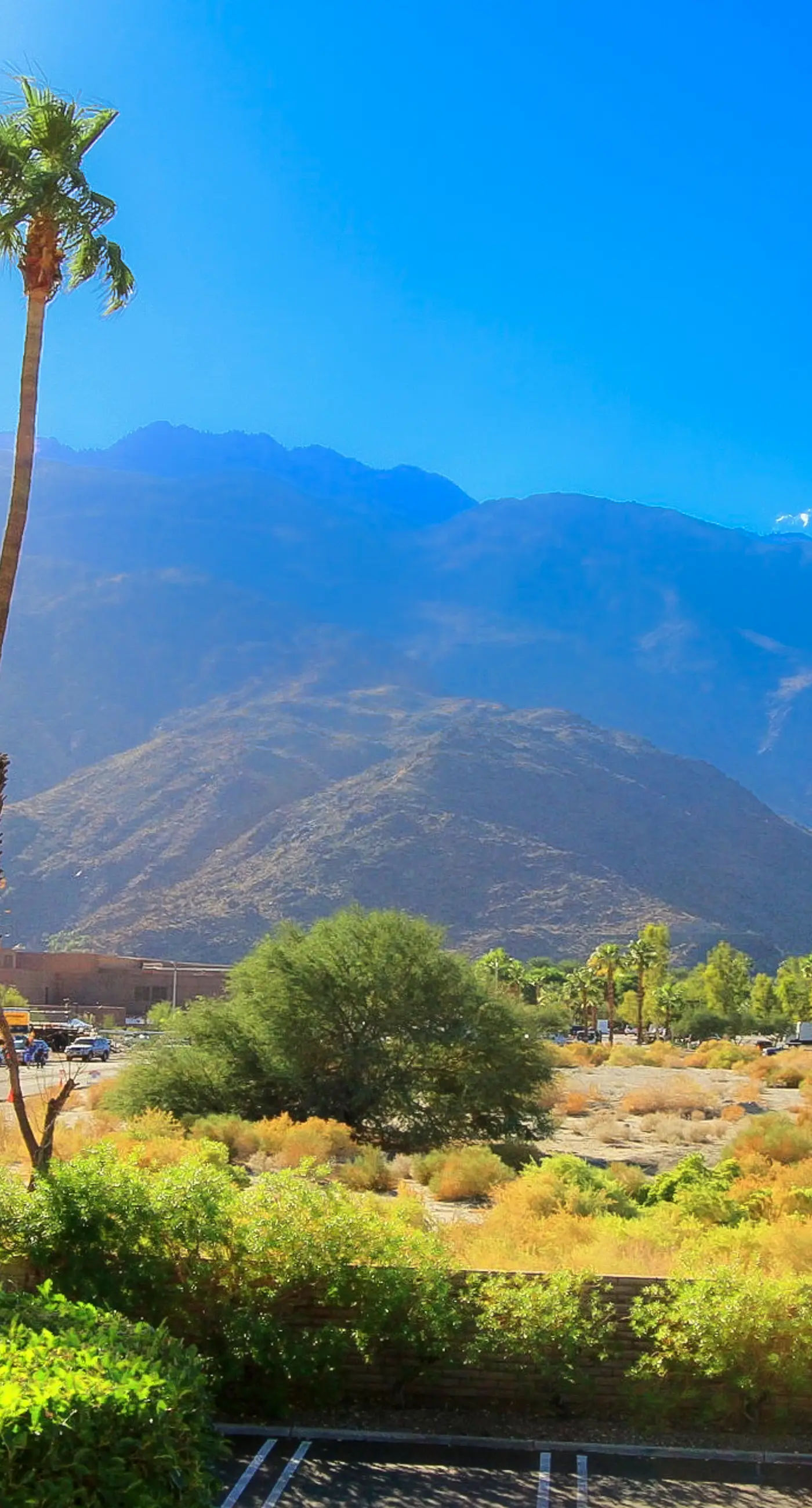 Condo Casa Verde 1 BD Palm Springs, CA Vacation Rental Vacasa