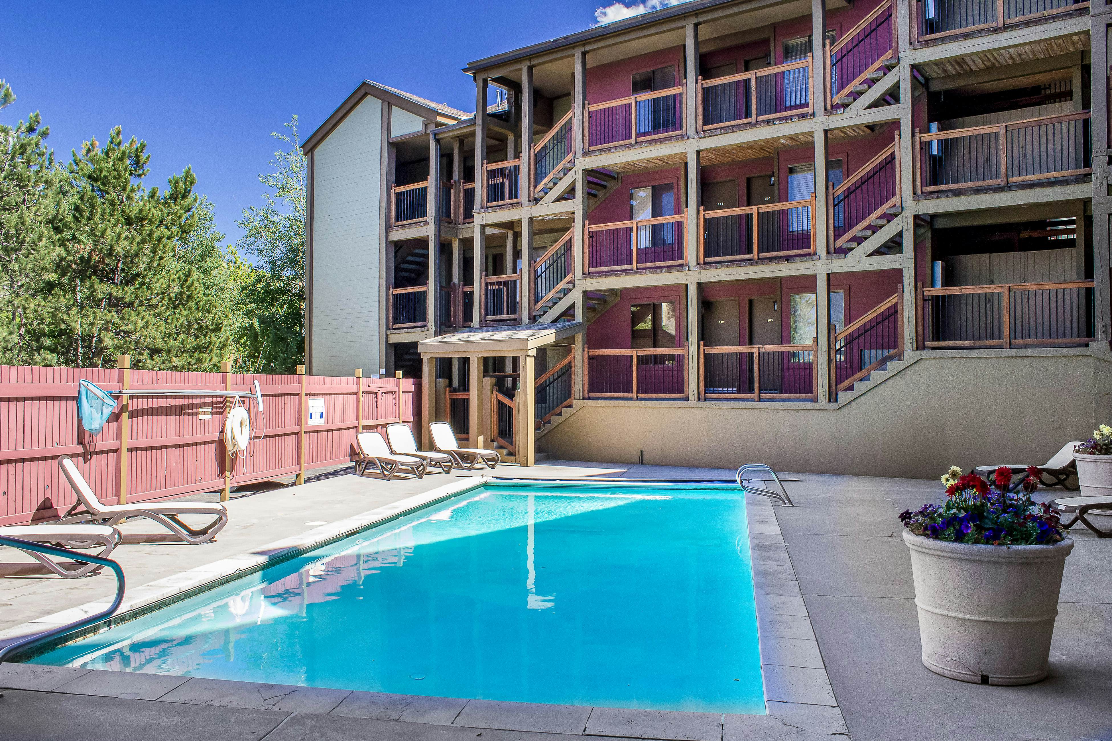 Snowcrest Delight  #113