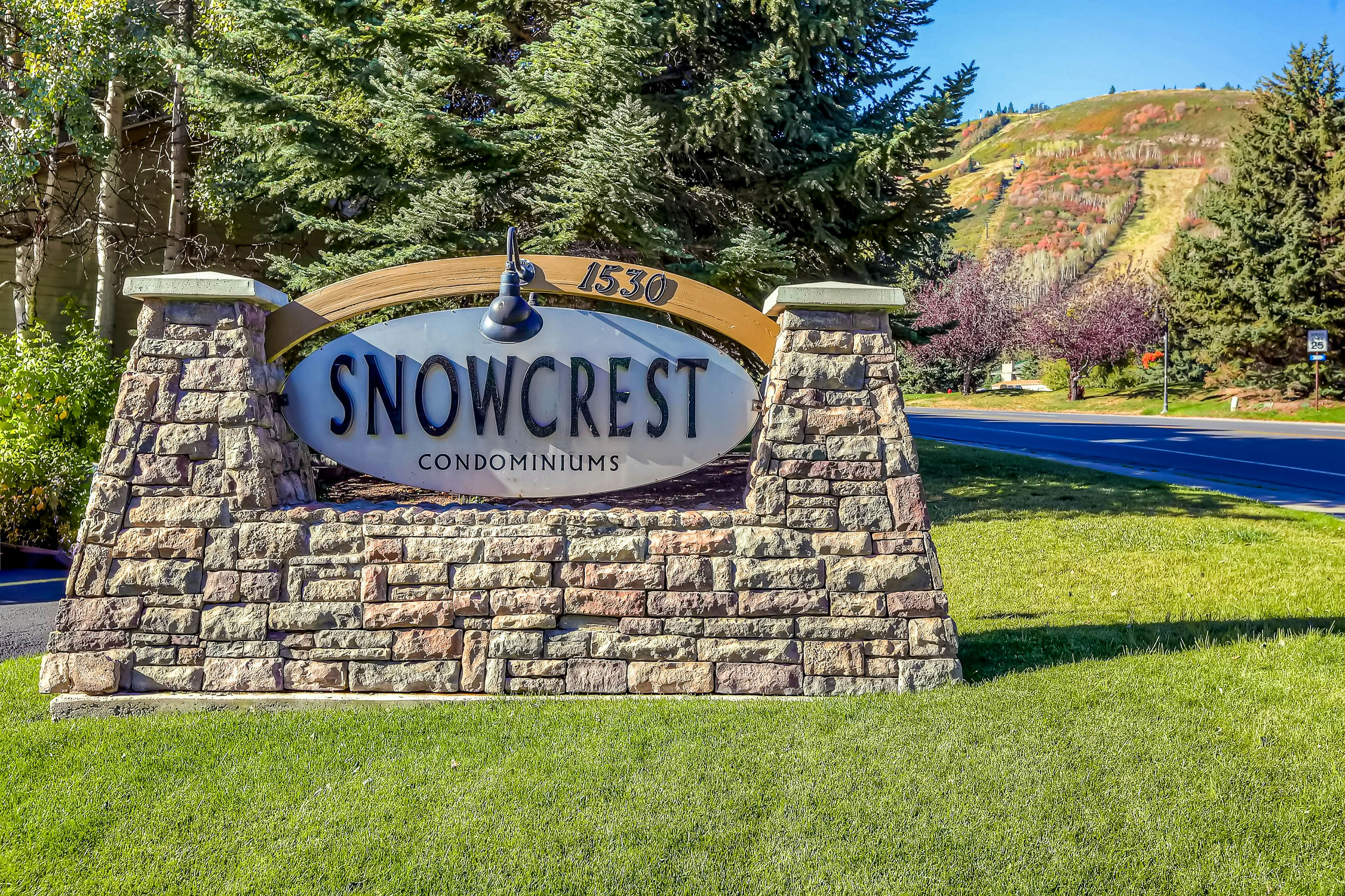 Snowcrest Delight  #113