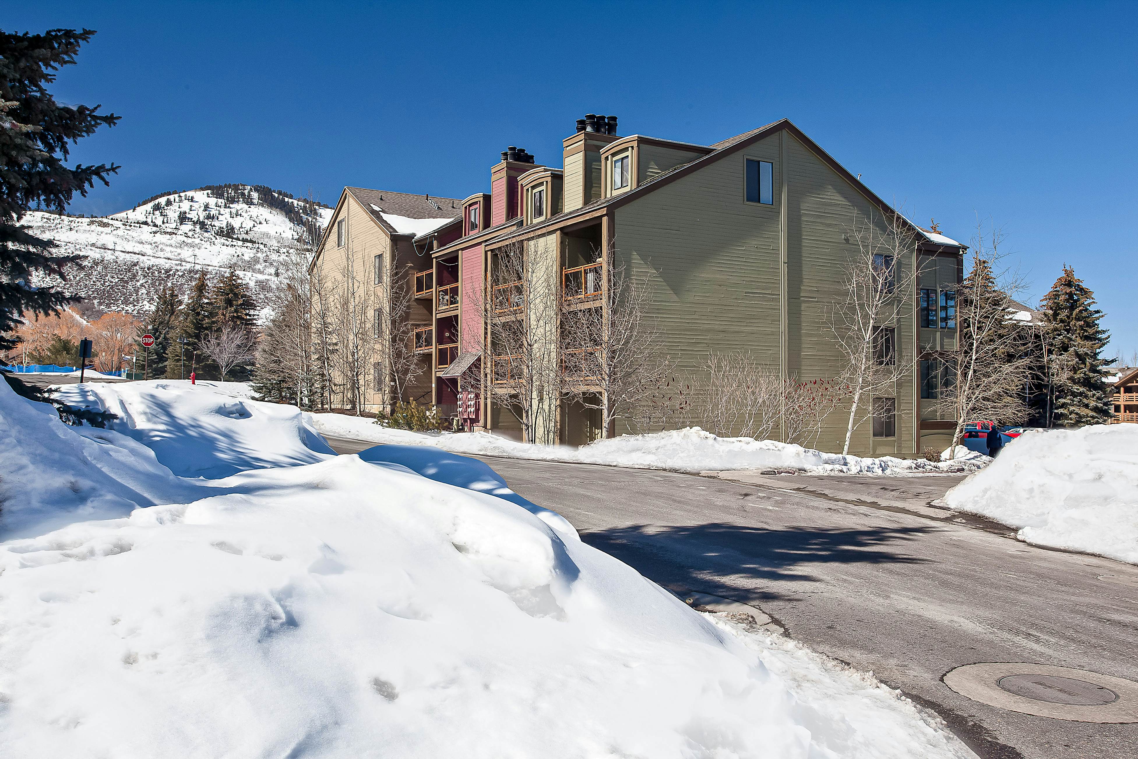 Snowcrest Delight  #113