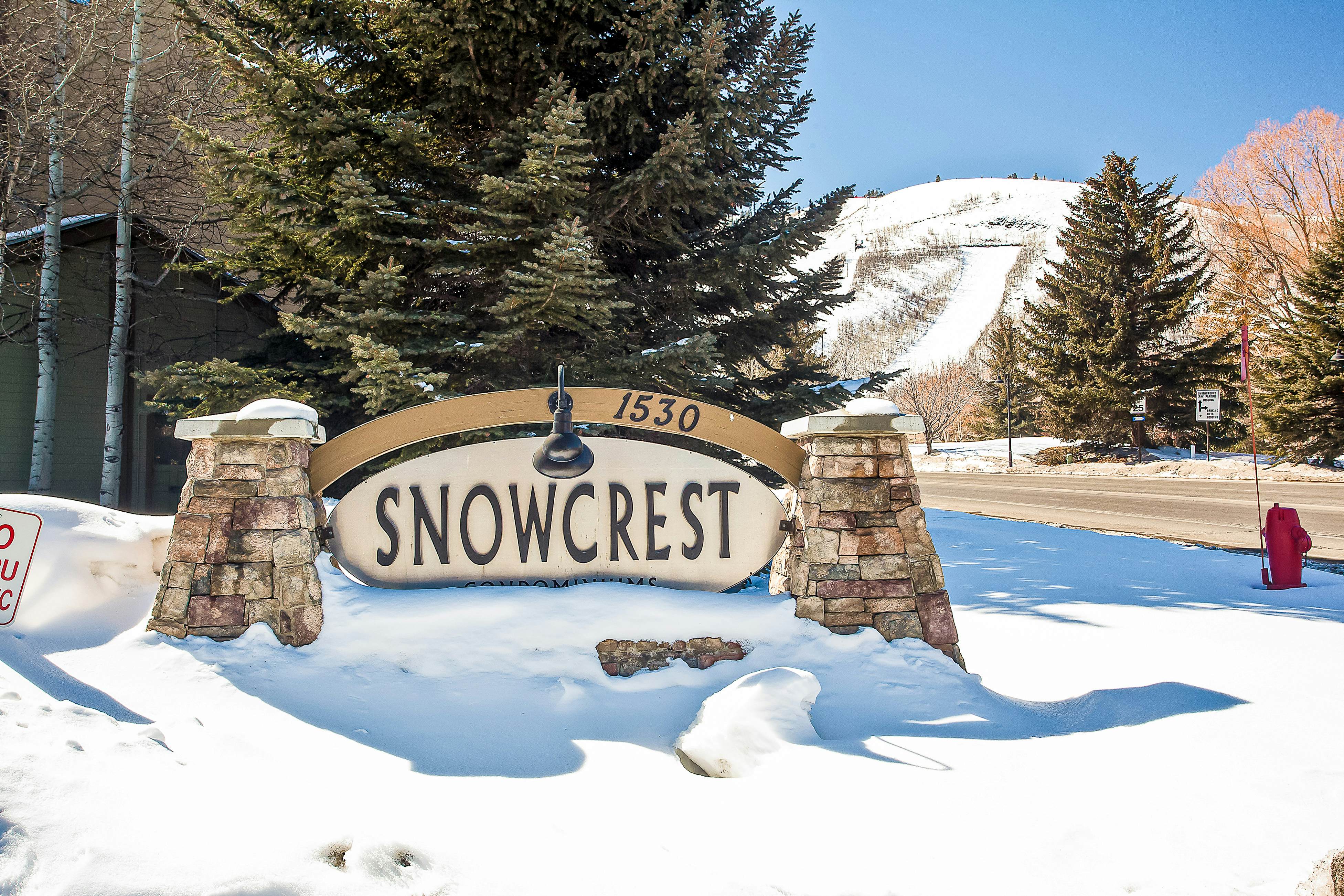 Snowcrest Delight  #113