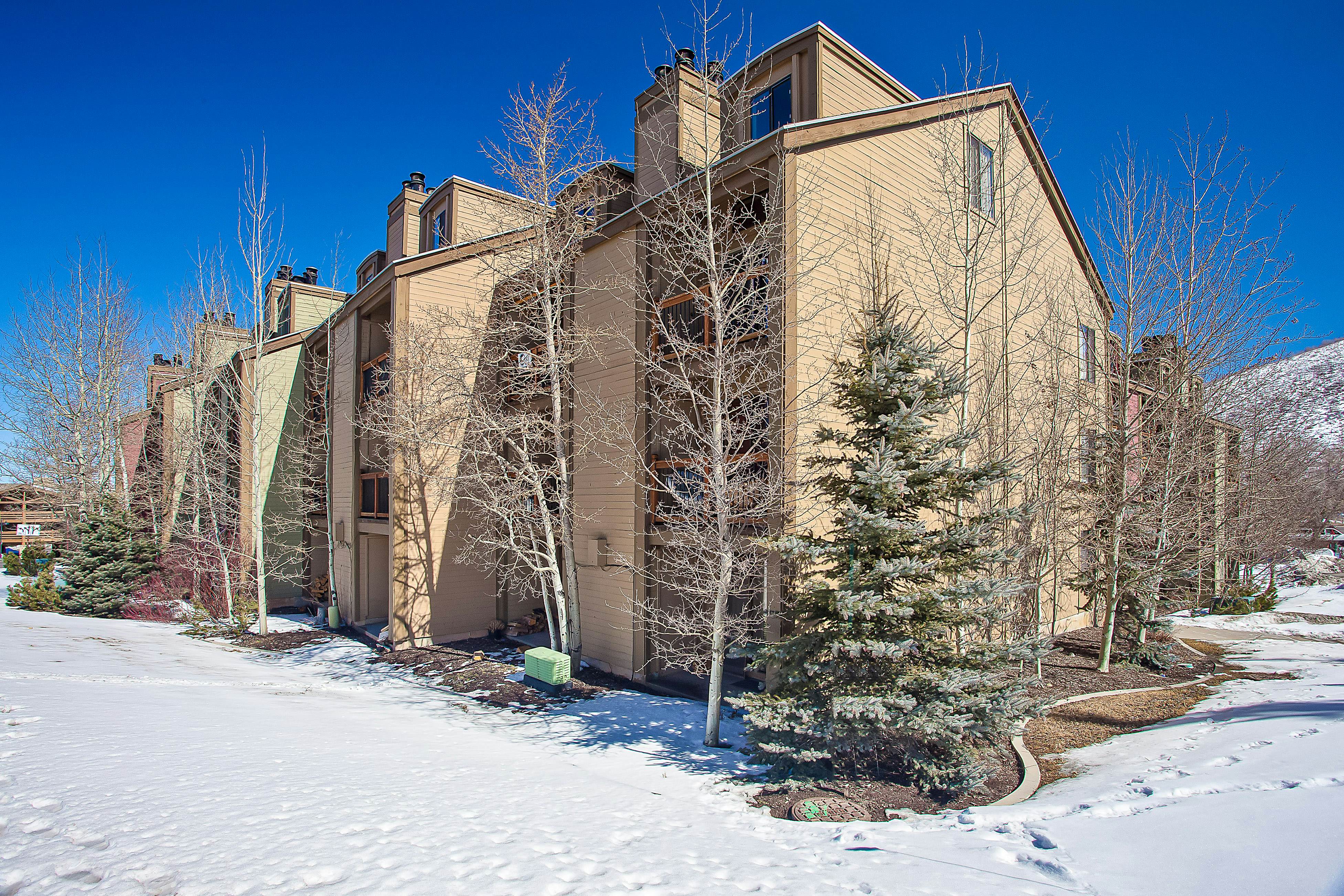 Snowcrest Delight  #113