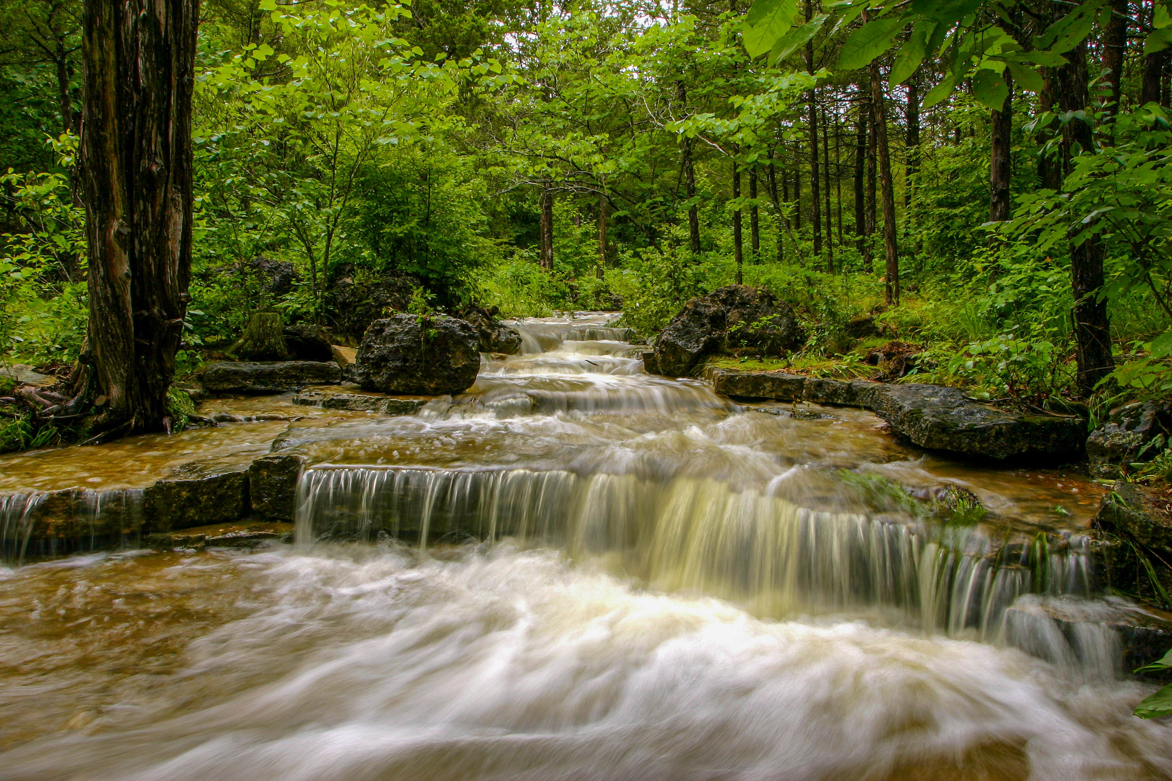 Fall Creek Resort 590-1