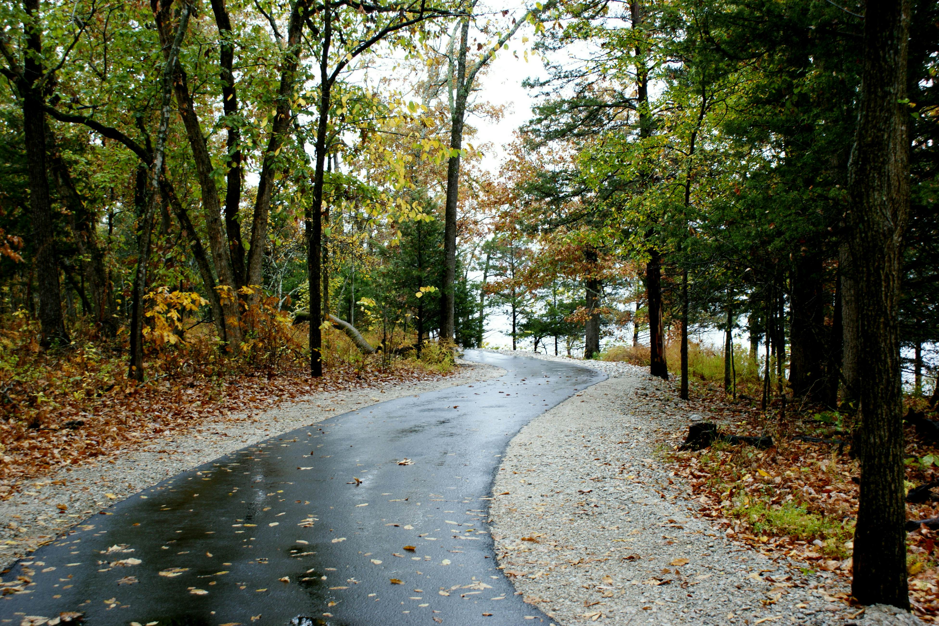 Fall Creek Resort 590-1