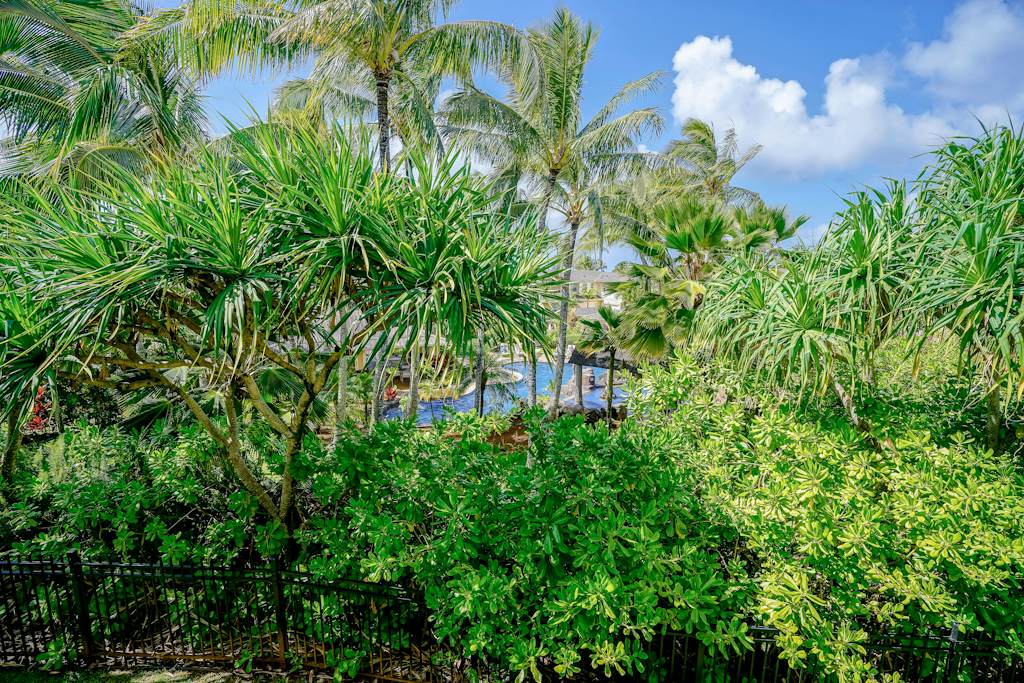 Nihilani Resort your lush tropical paradise. 