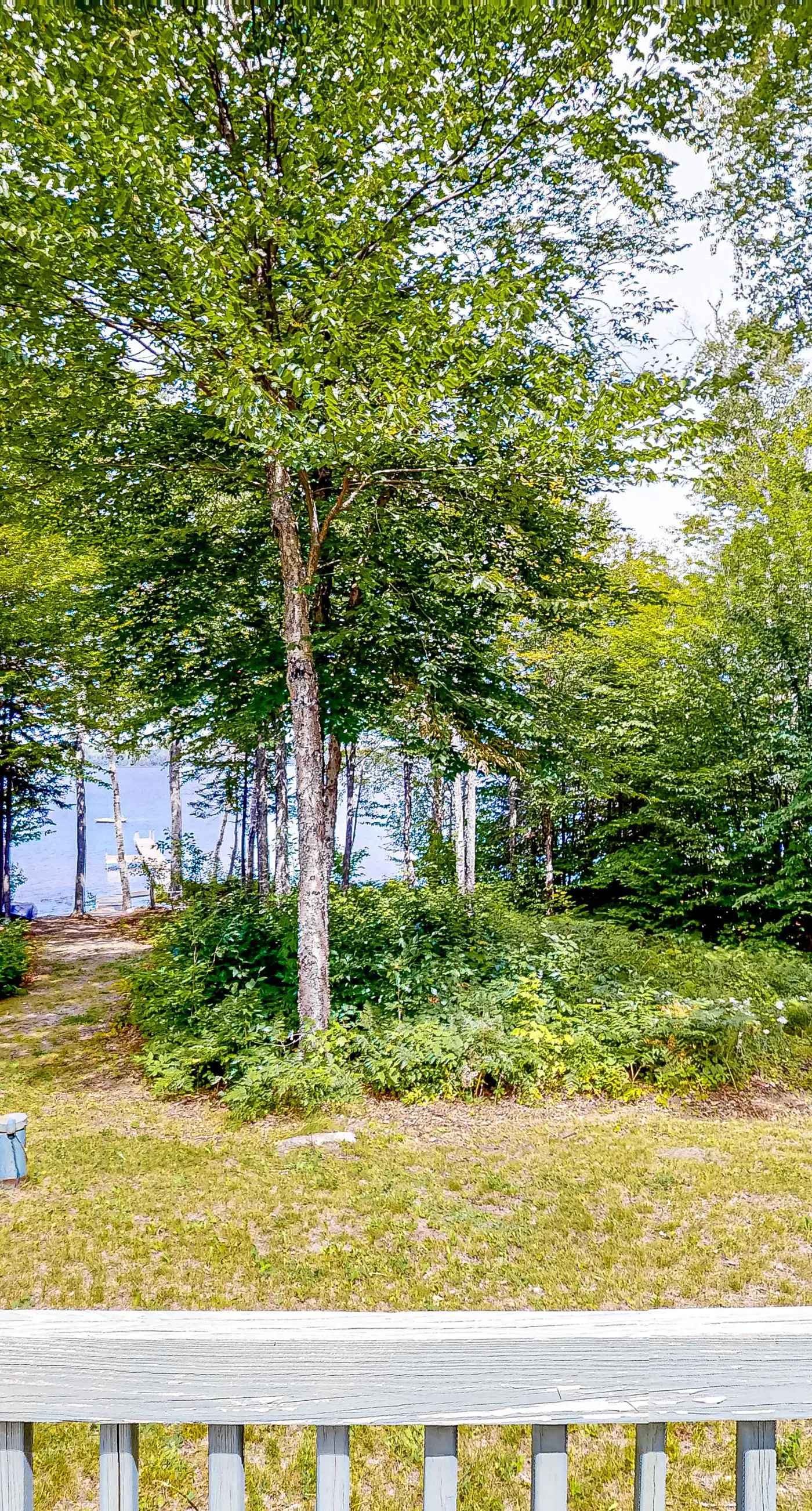 Lucky Lakefront Log Cabin