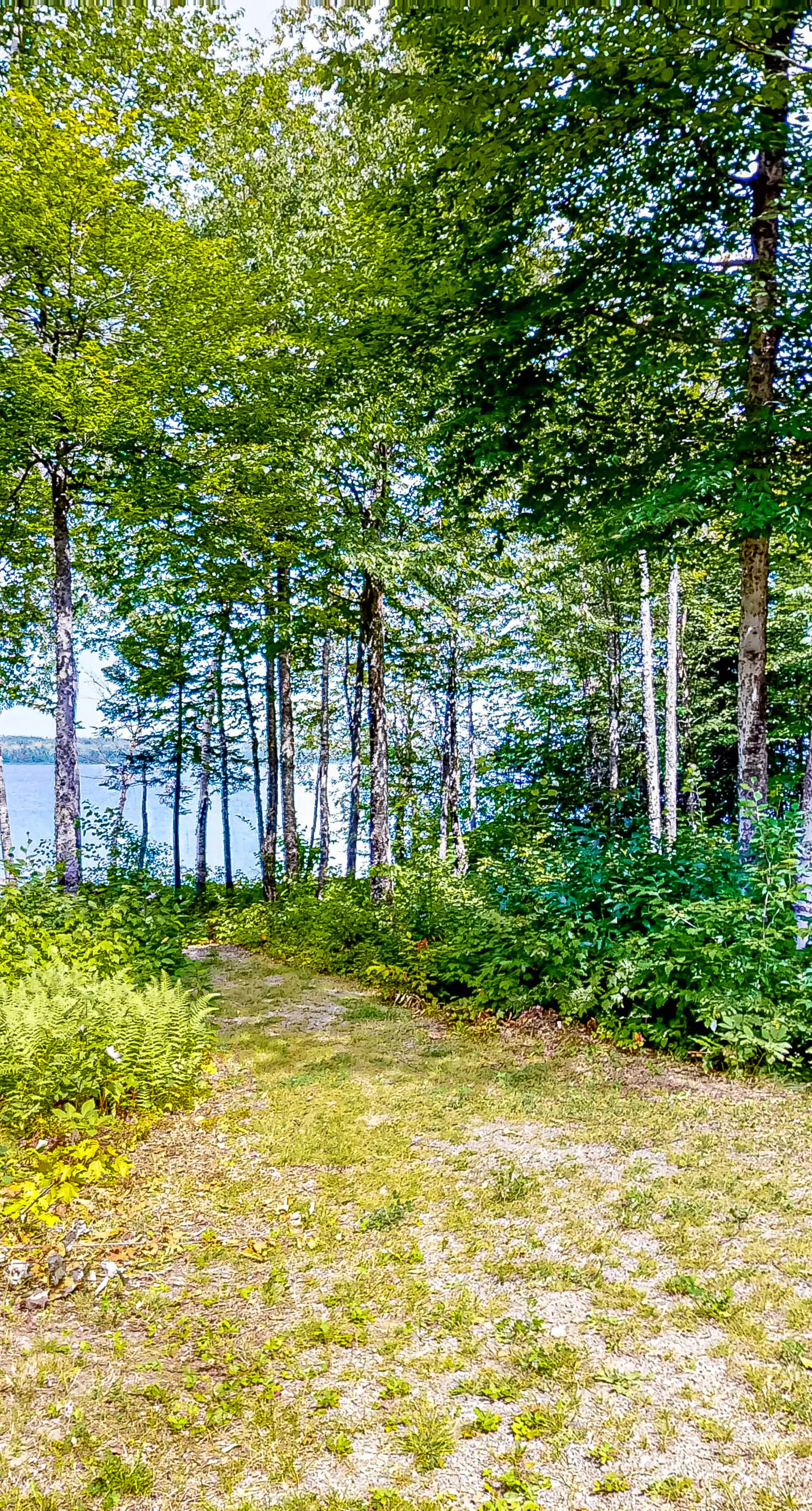 Lucky Lakefront Log Cabin