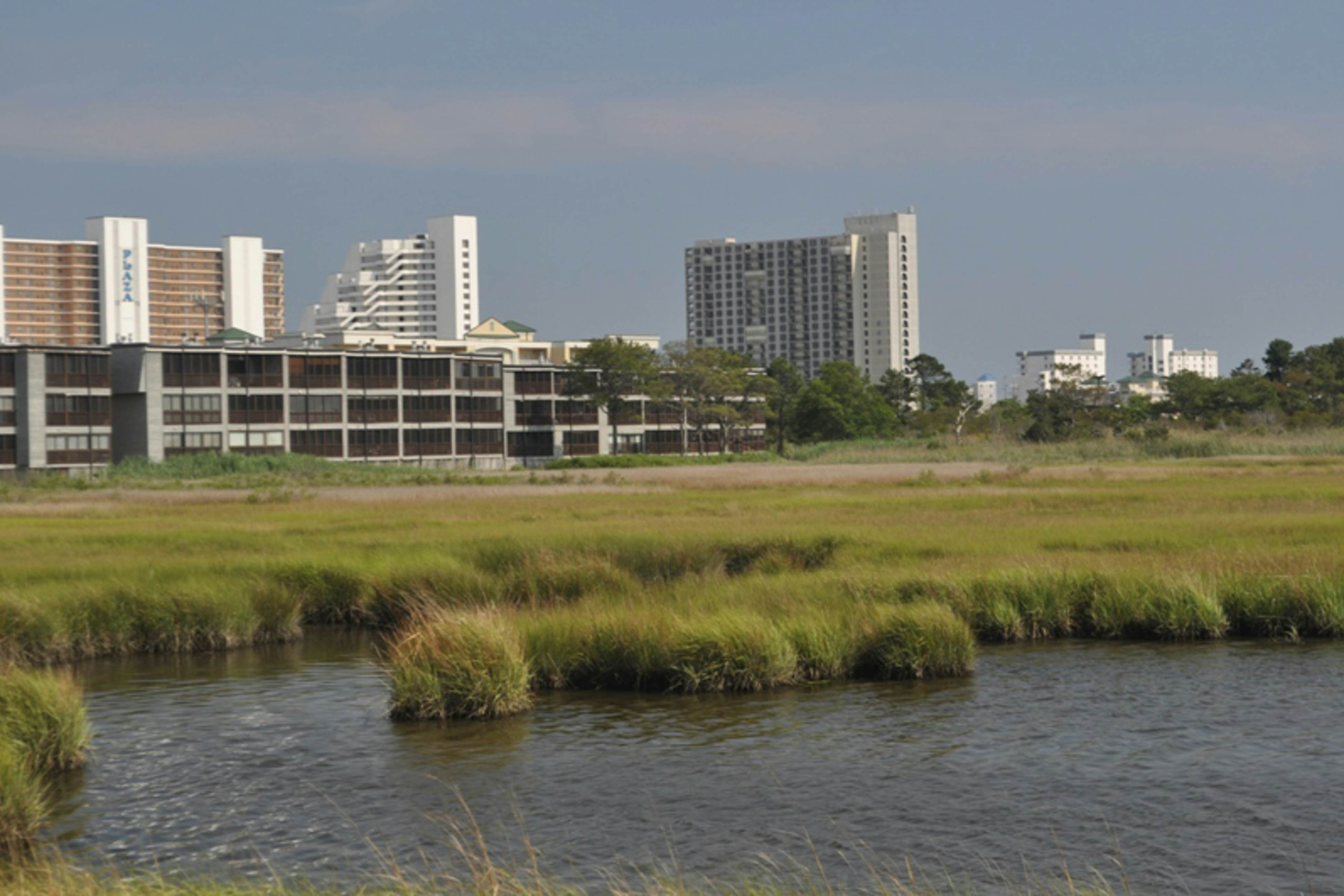 Our Place At The Beach 202E