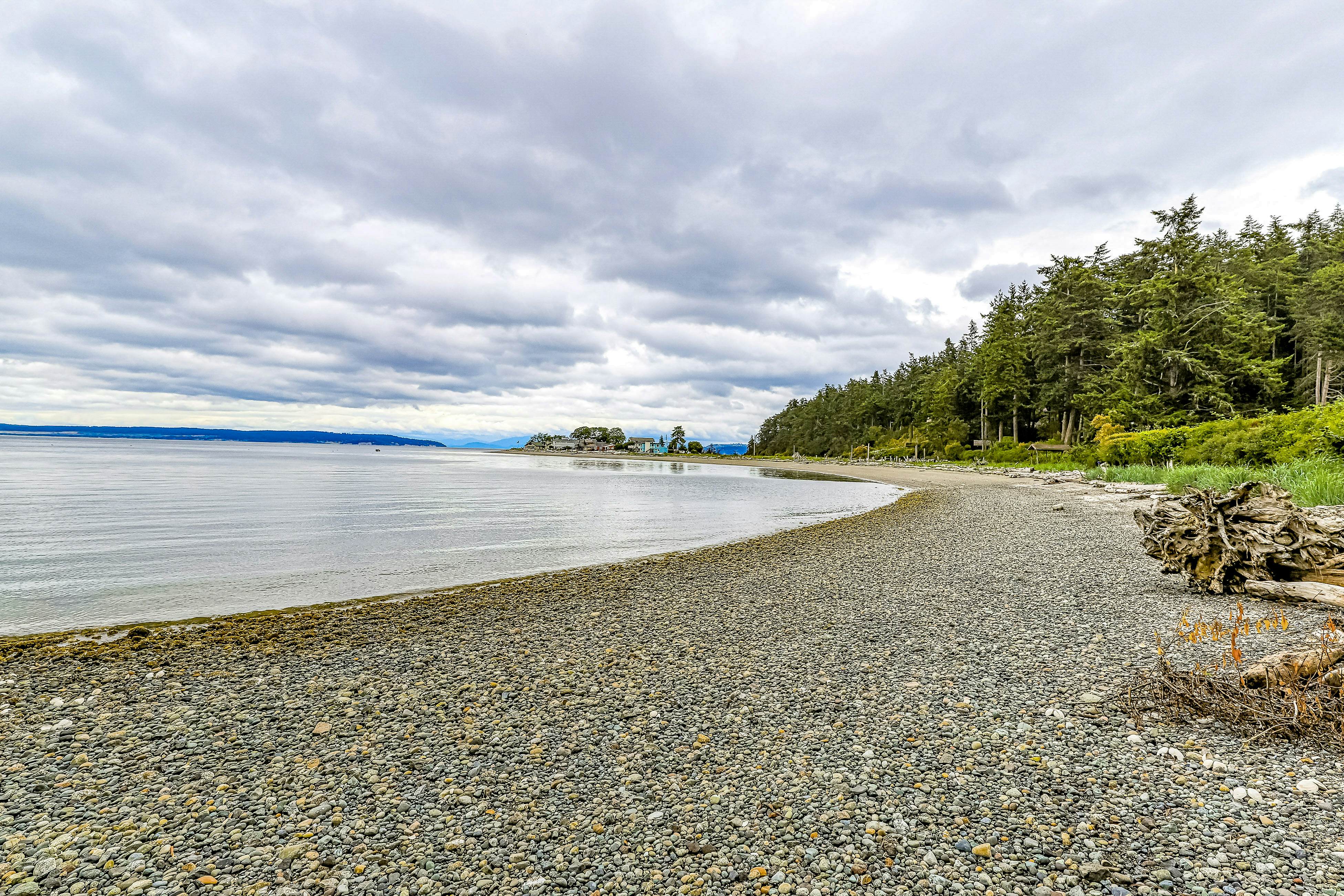 Osprey Beach Nest