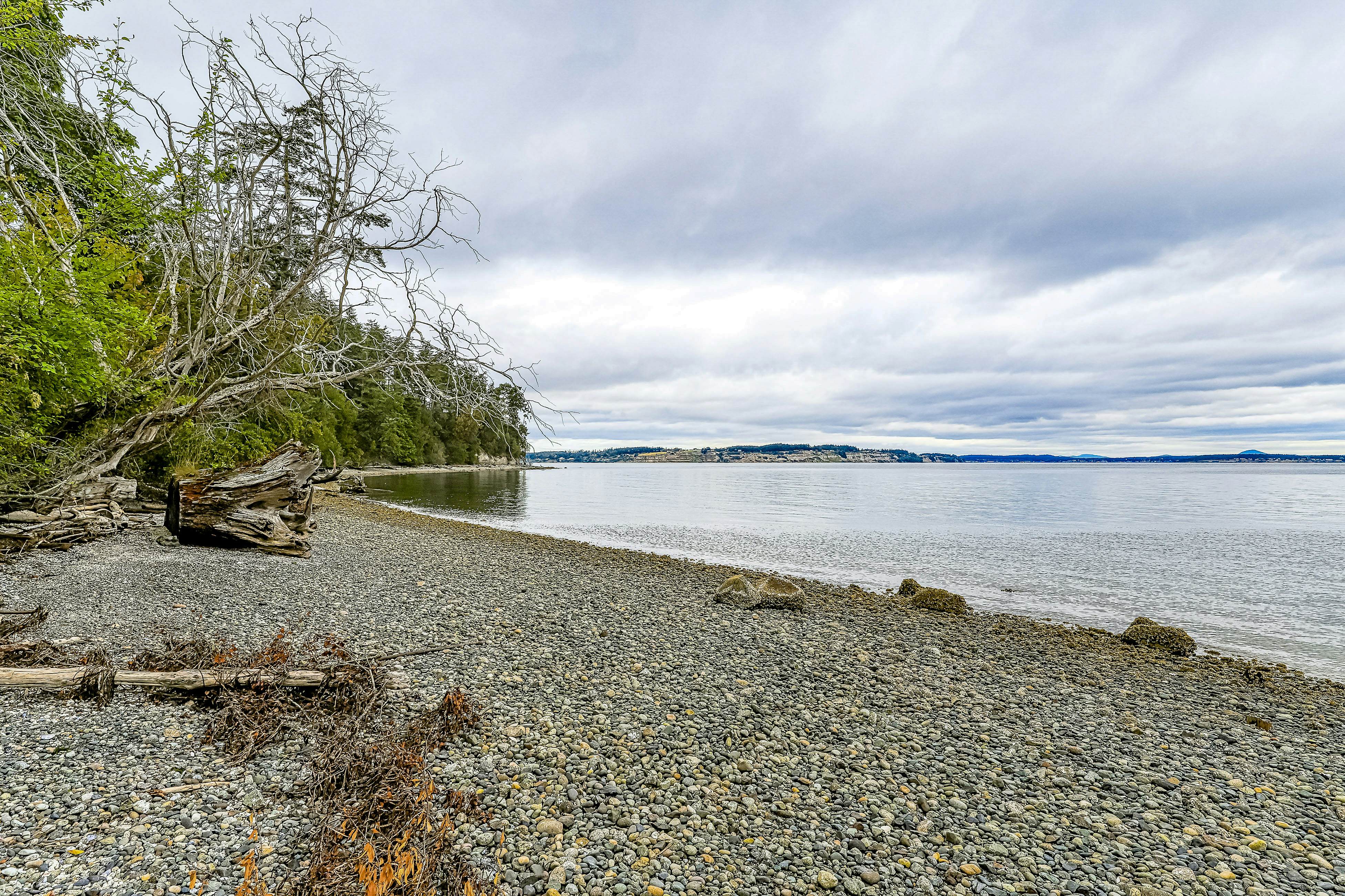 Osprey Beach Nest
