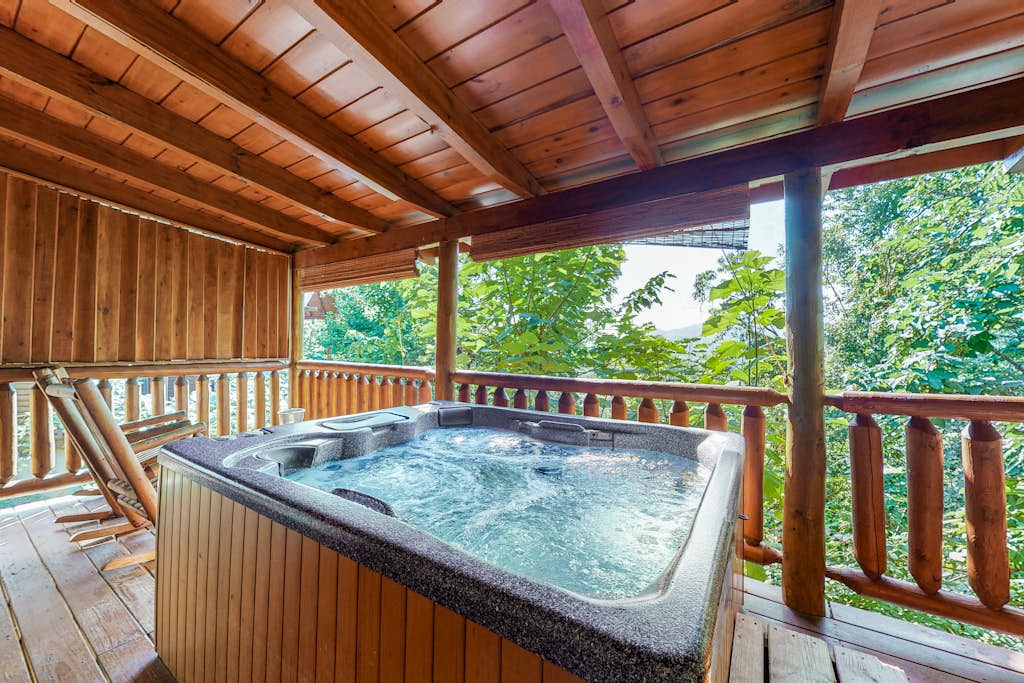 Dog Friendly Mtn Studio Cabin, Sleeps 2・Hot Tub — Sevierville, TN — vacation rental