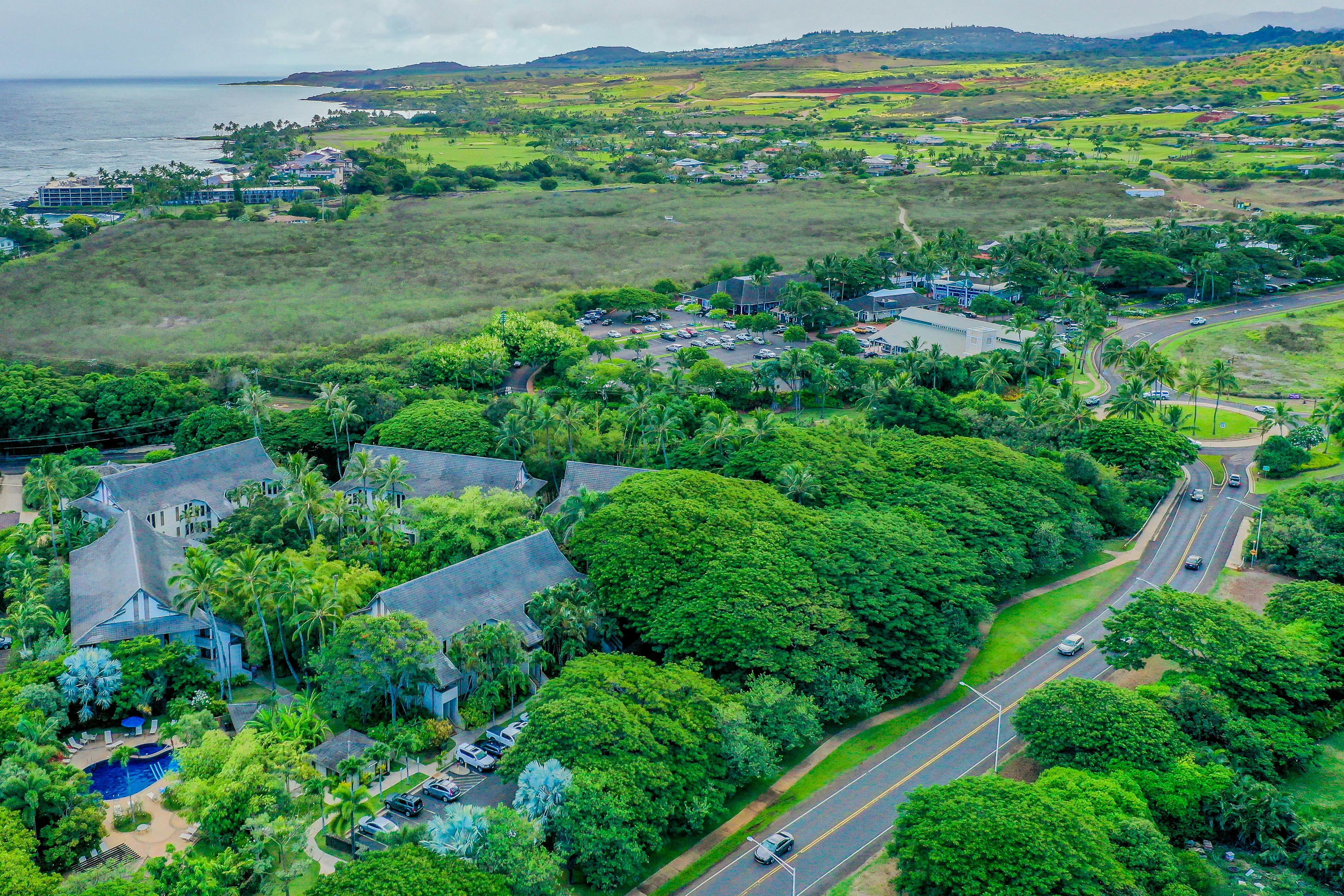 Waikomo Stream Villas 202